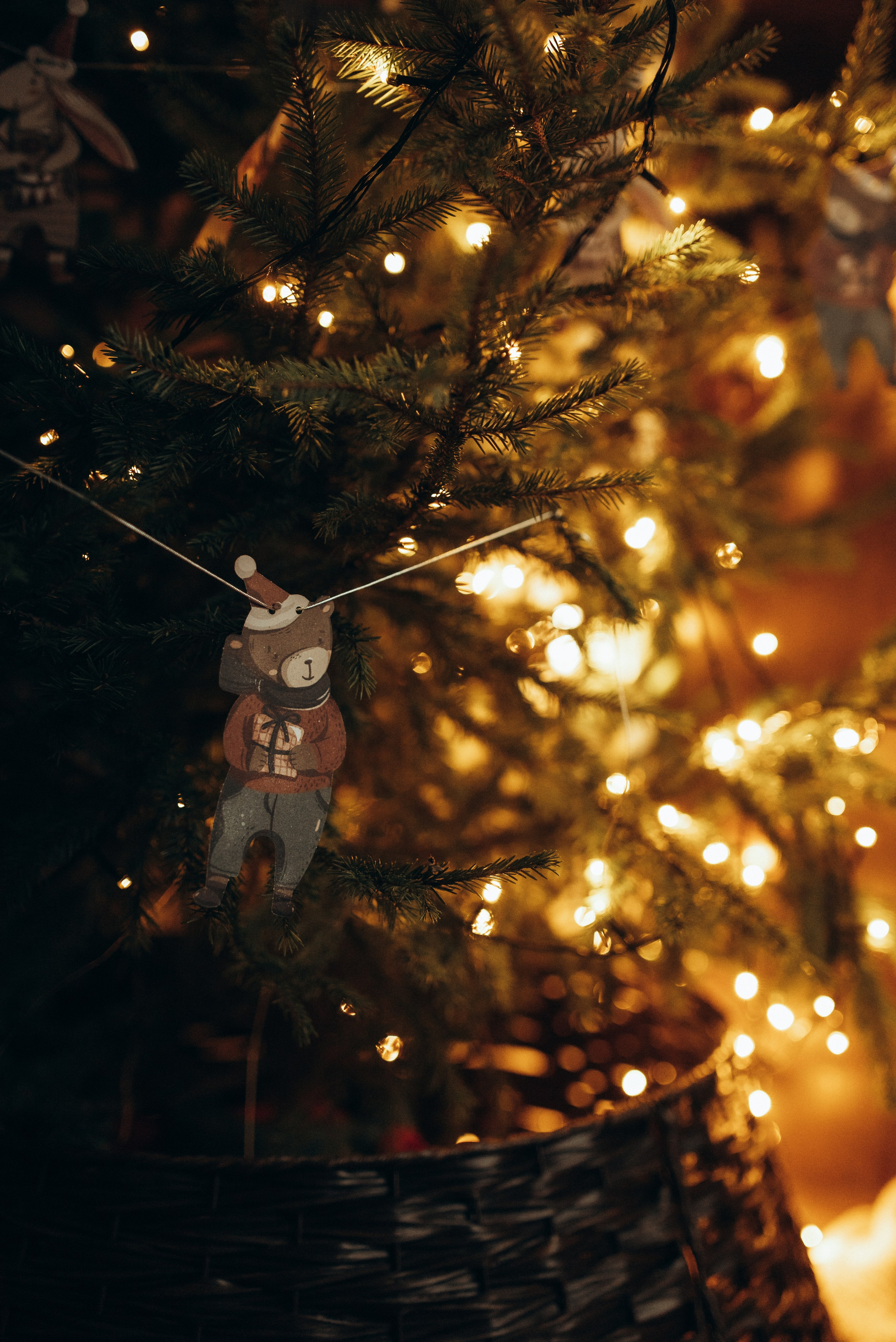 До Нового Года осталось…. Свадебный фотограф Анастасия Бударина