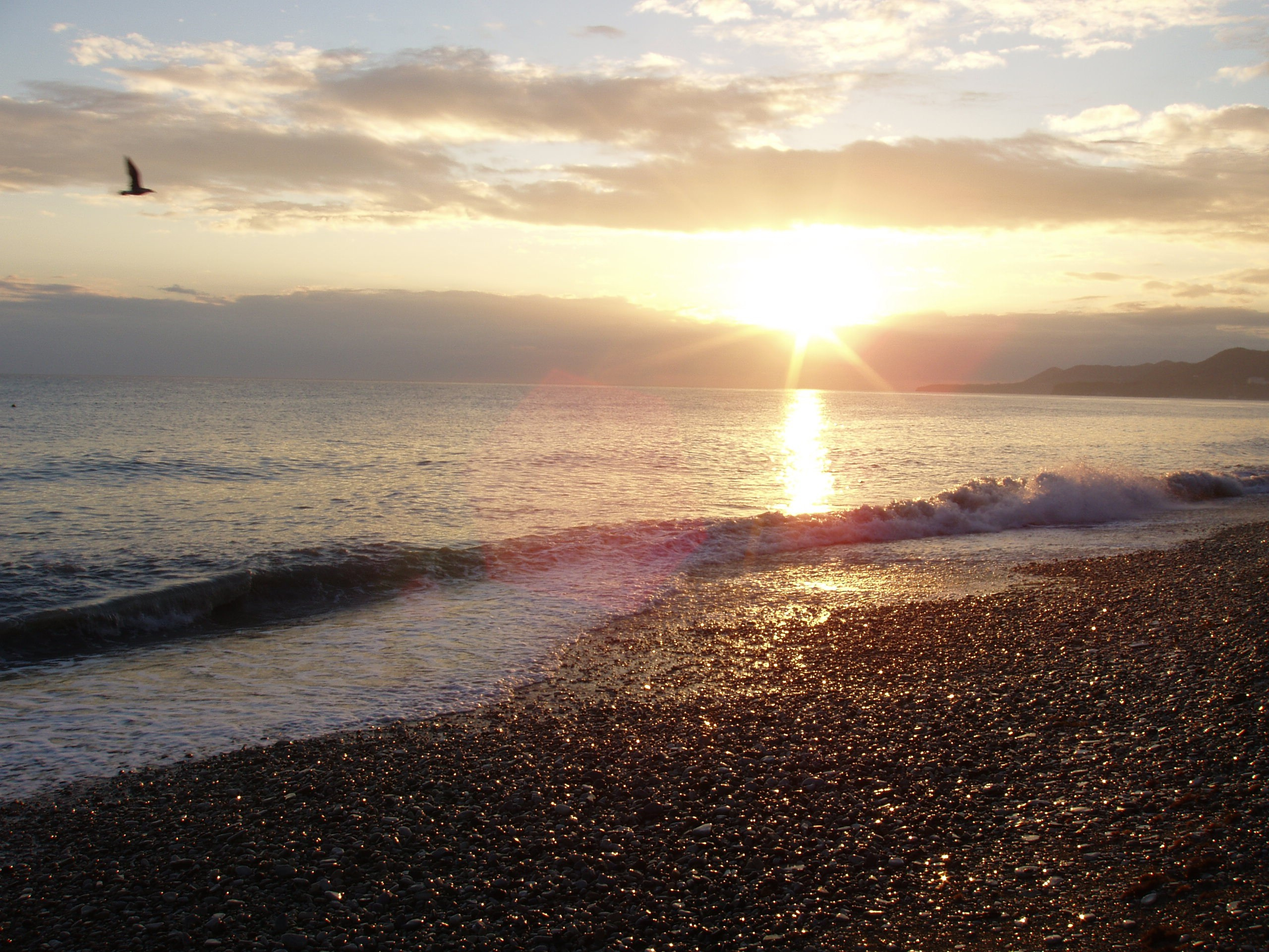 Отпуск 28.07-17.08. Семейный, Свадебный фотограф СПБ Питер— Романова Екатерина