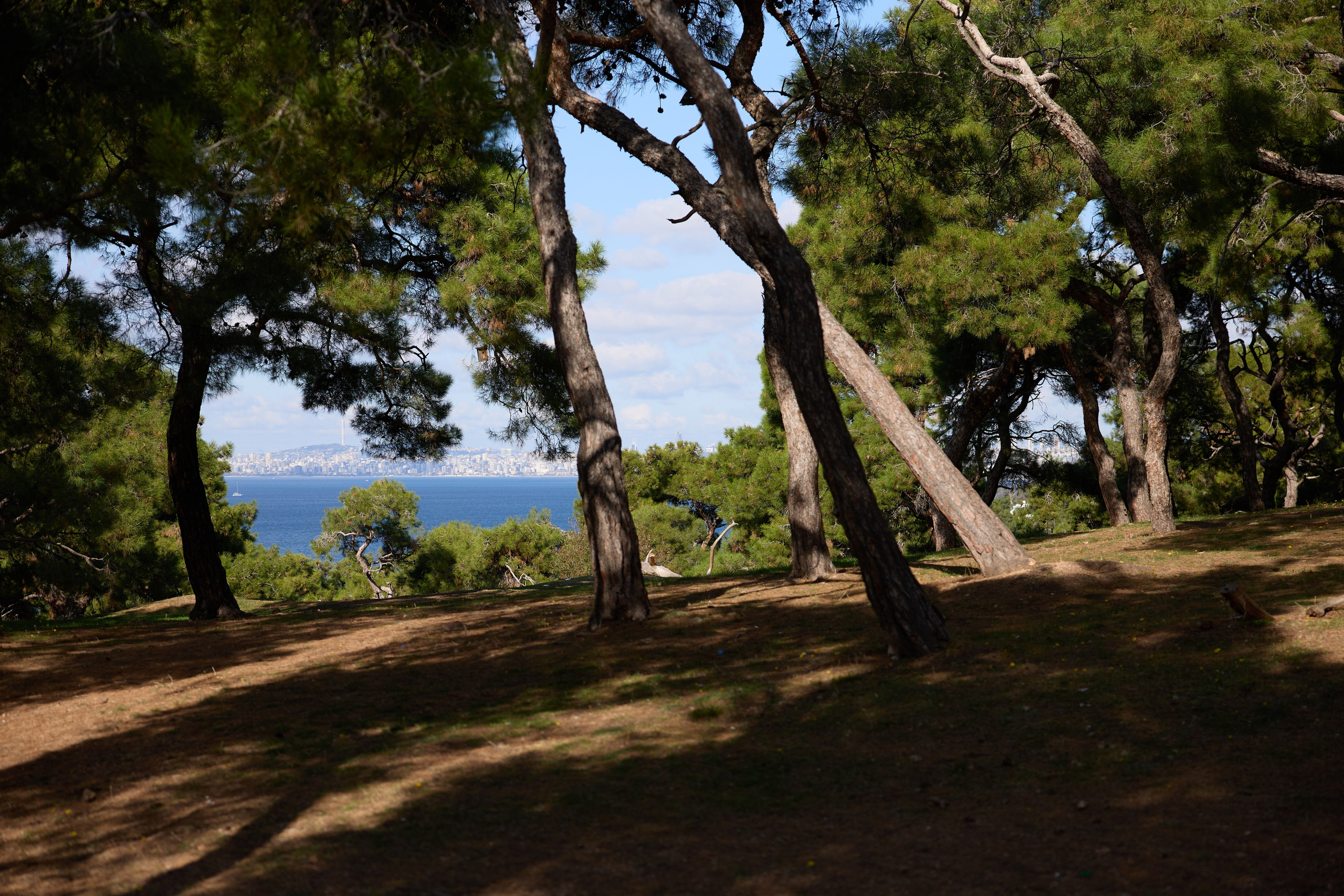 Стамбул 24. Фотограф Москва, Дима Пеллер