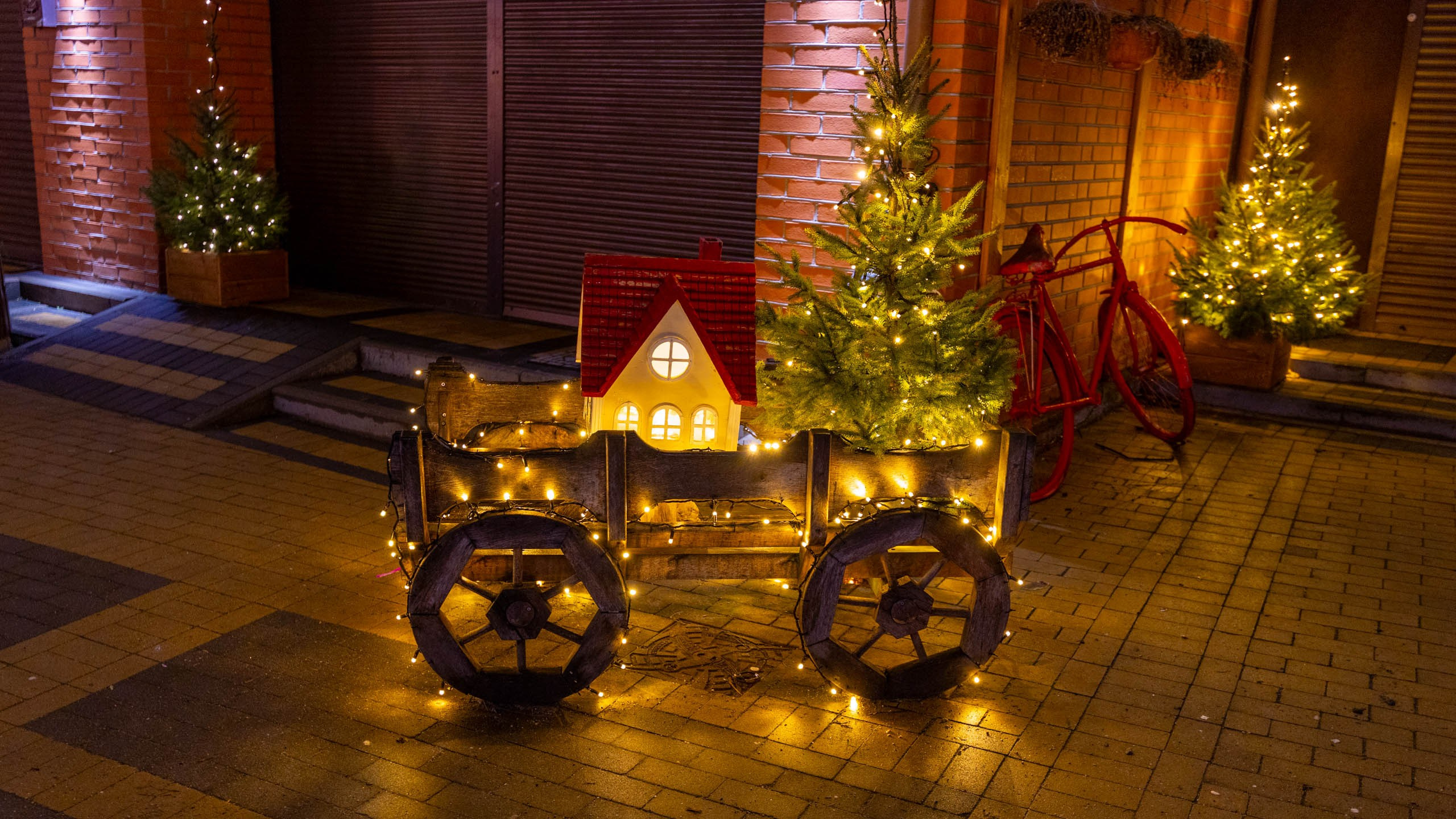 2024 01 Калининград (Светлогорск, Зеленоградск). Фотографии