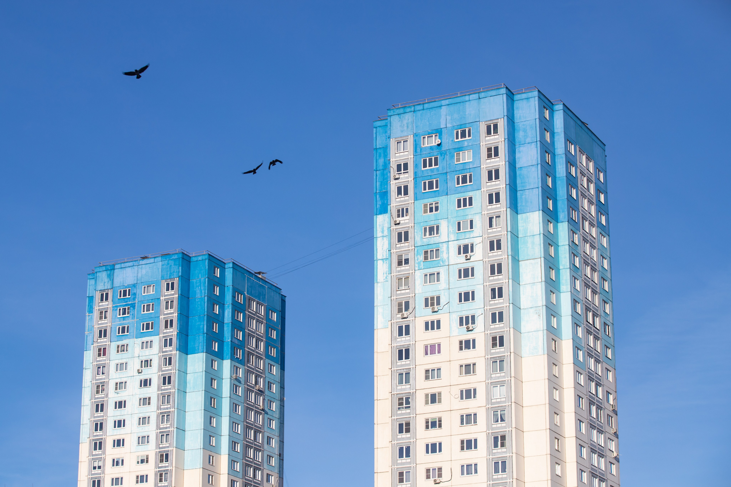 Тула. Репортажный фотограф Алексей Пирязев