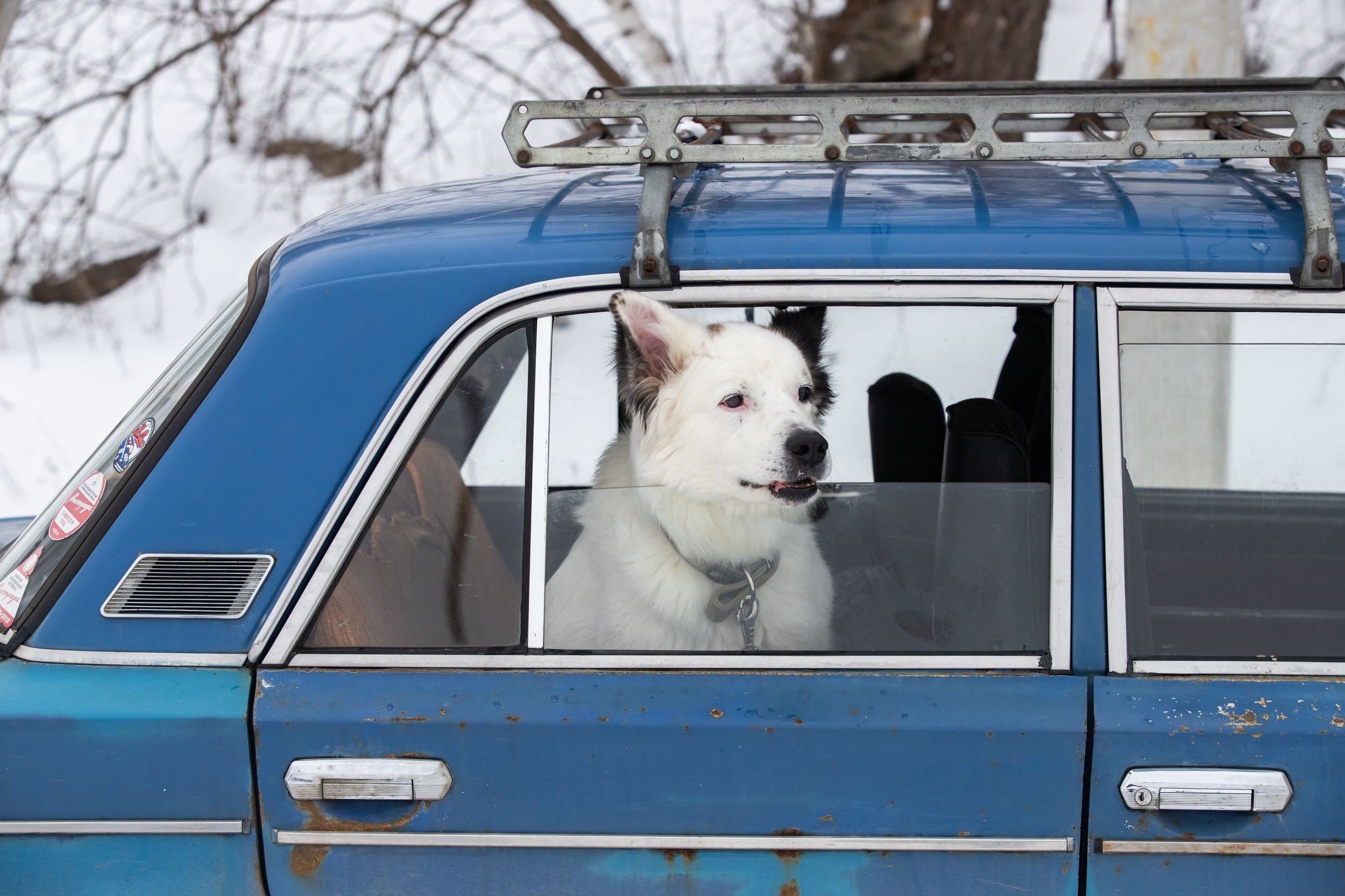 Ралли-спринт (11 марта 2023). Репортажный фотограф Алексей Пирязев