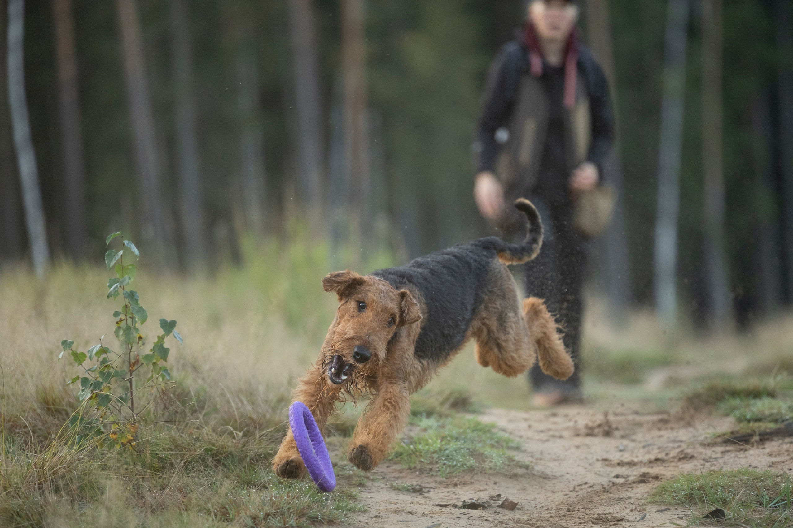 Харди. Фотограф-анималист Анна Маринич
