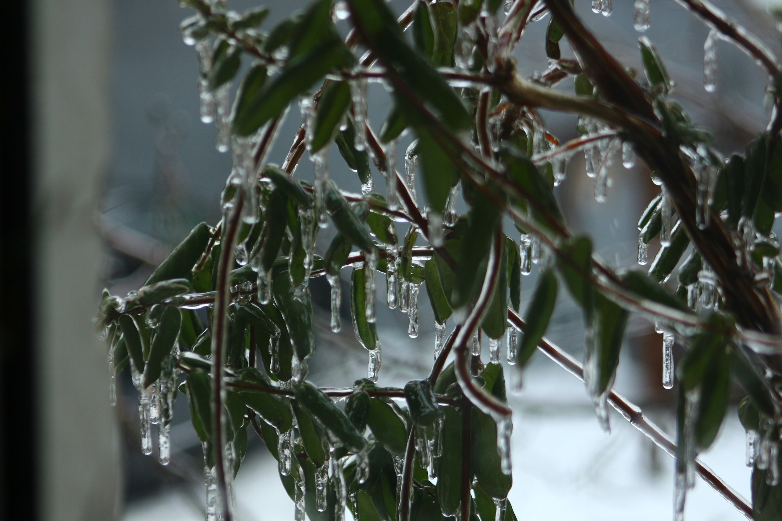 Пейзажи. Фотограф из Донецка Александр Турко