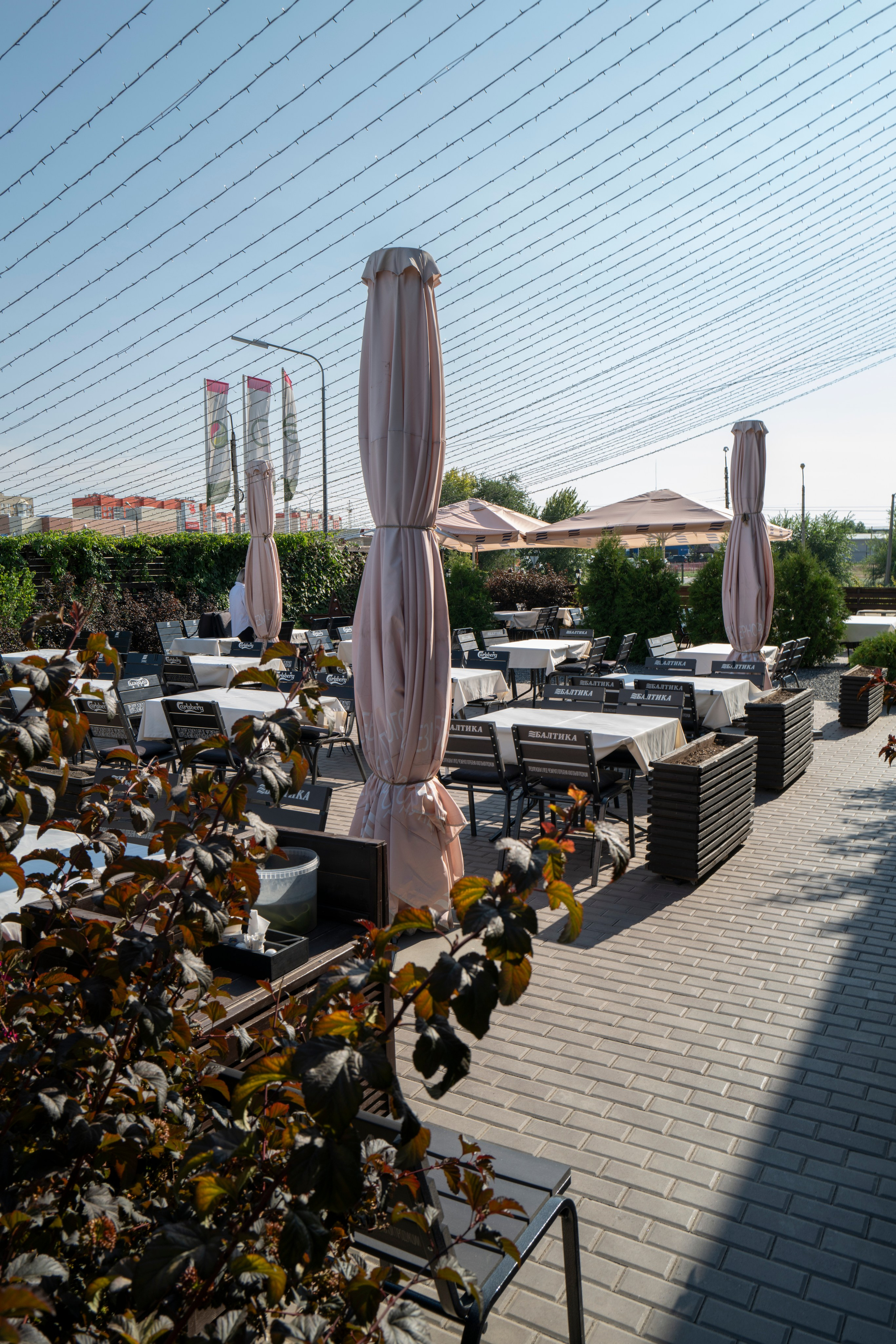 Рестораны. Maxon Magnusson