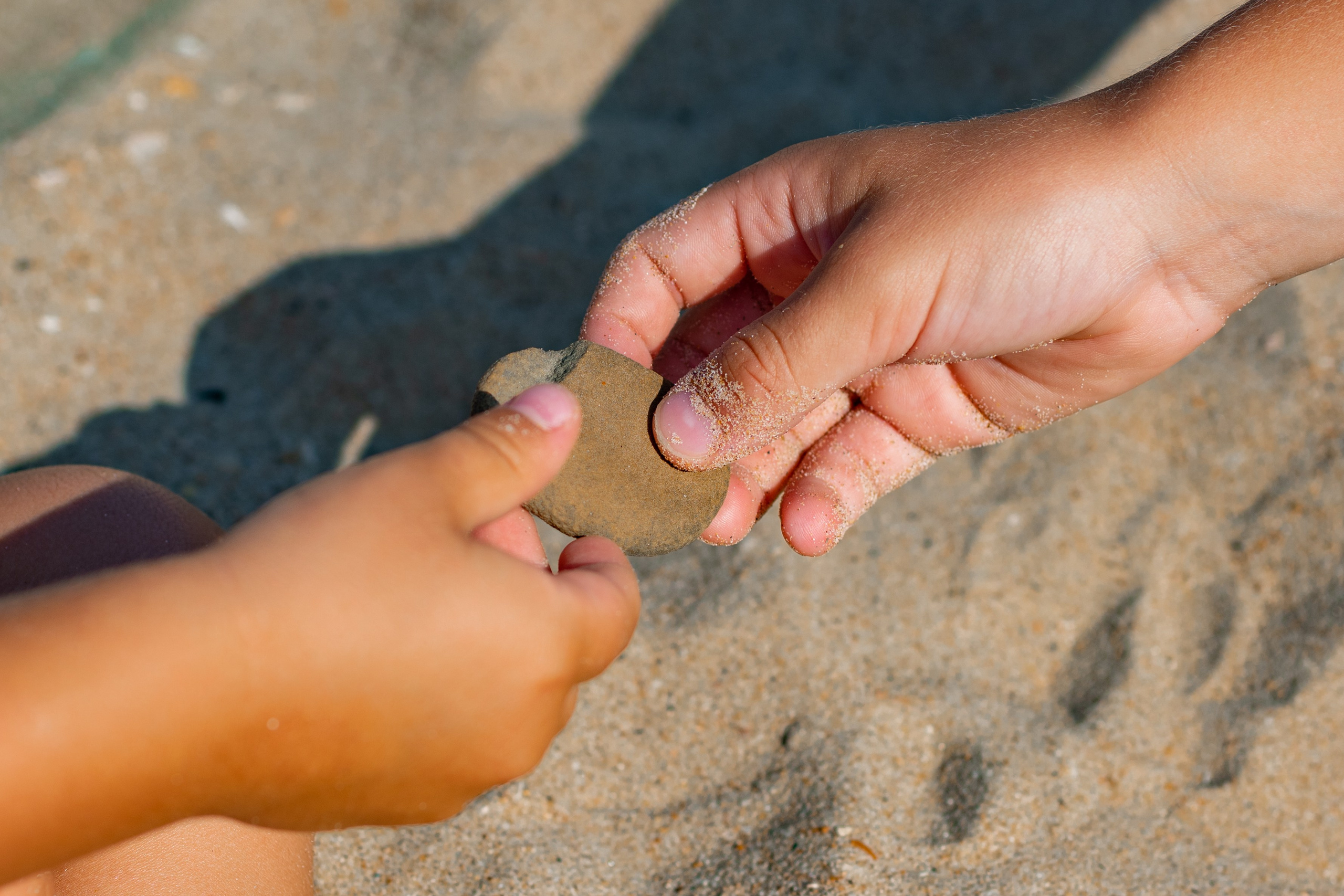 Семейная на море. Фотограф в Москве/Зарайске Шахова Марина