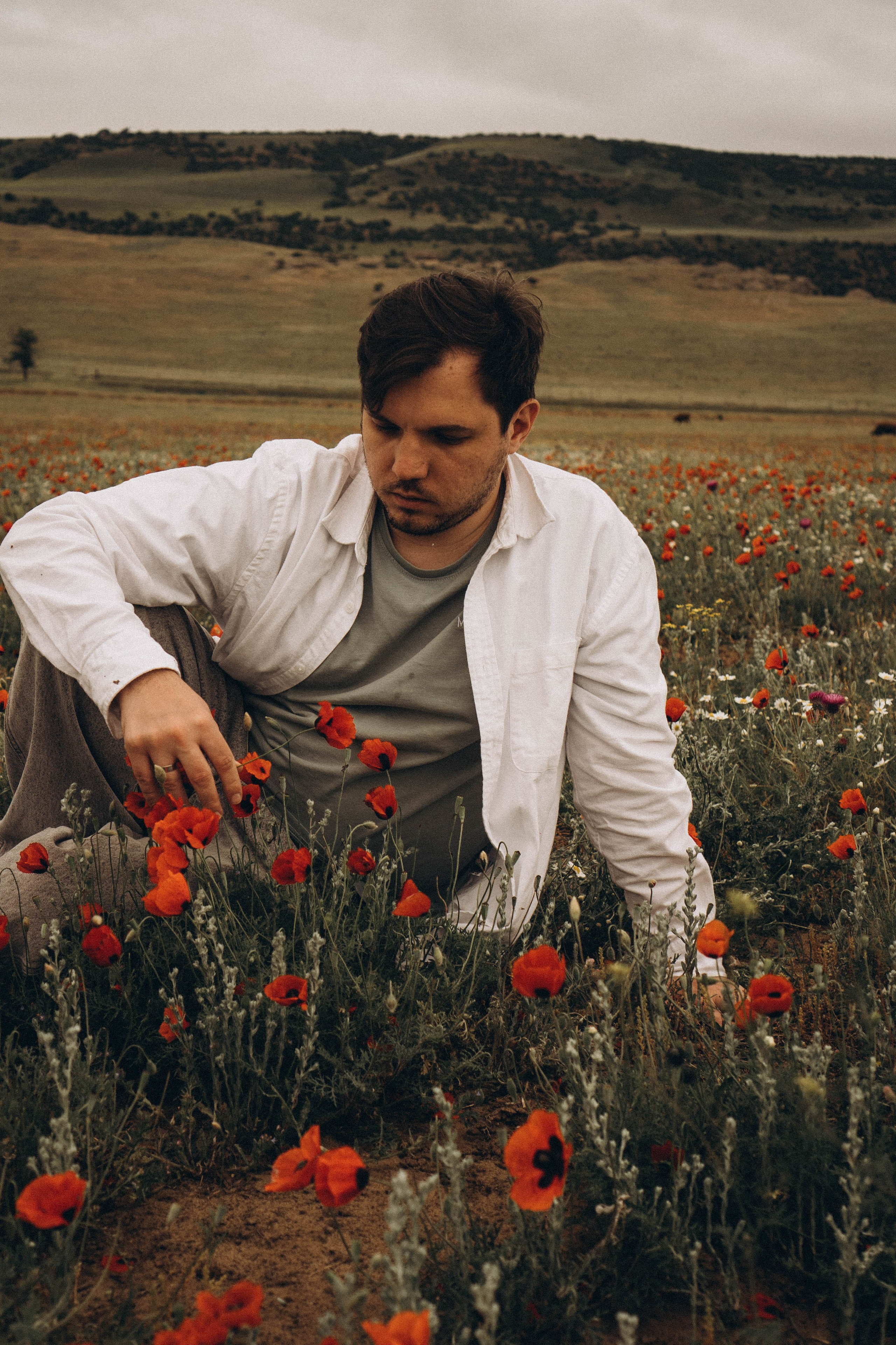 Маки. Профессиональный фотограф, Санкт-Петербург — Виктория Богомолова