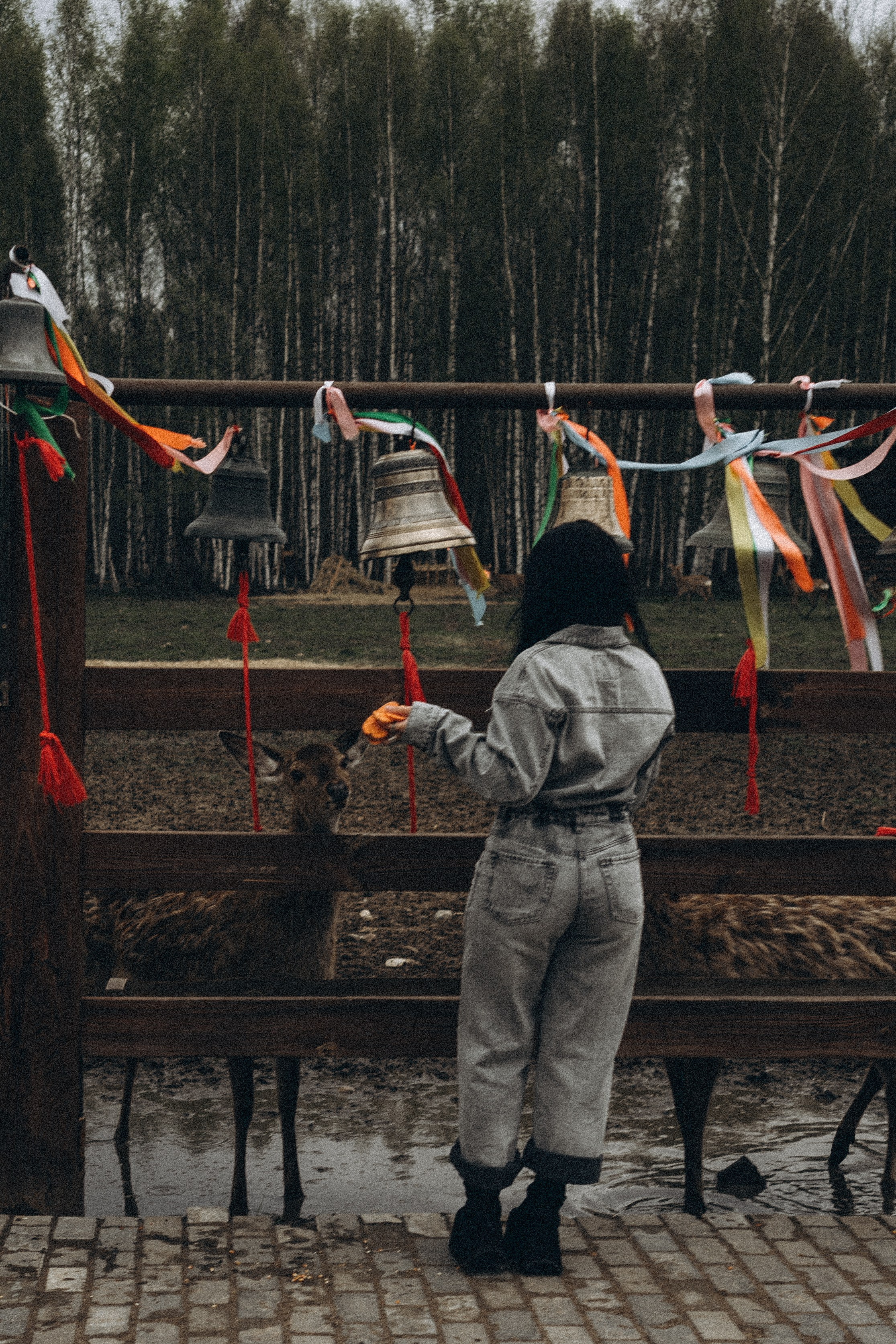 ОЛЕНЬЯ ФЕРМА В ТВЕРИ. Профессиональный фотограф, Санкт-Петербург — Виктория Богомолова