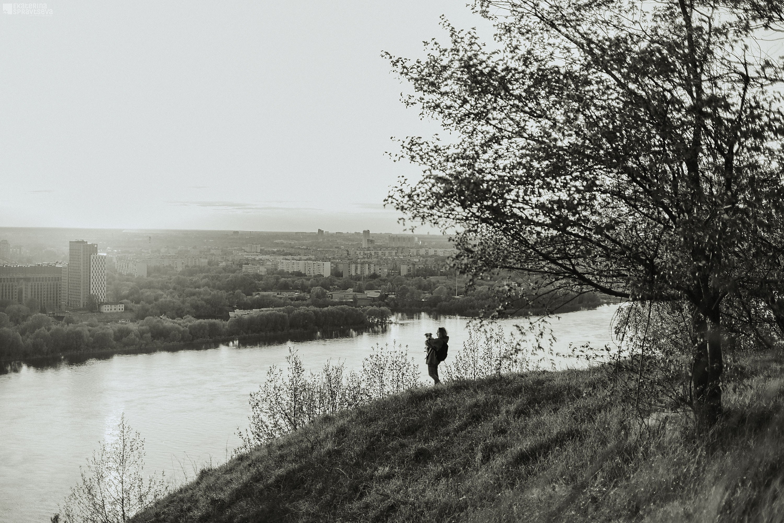 Мокси и Лиза. Фотограф Анималист Екатерина Справцева в Нижнем Новгороде