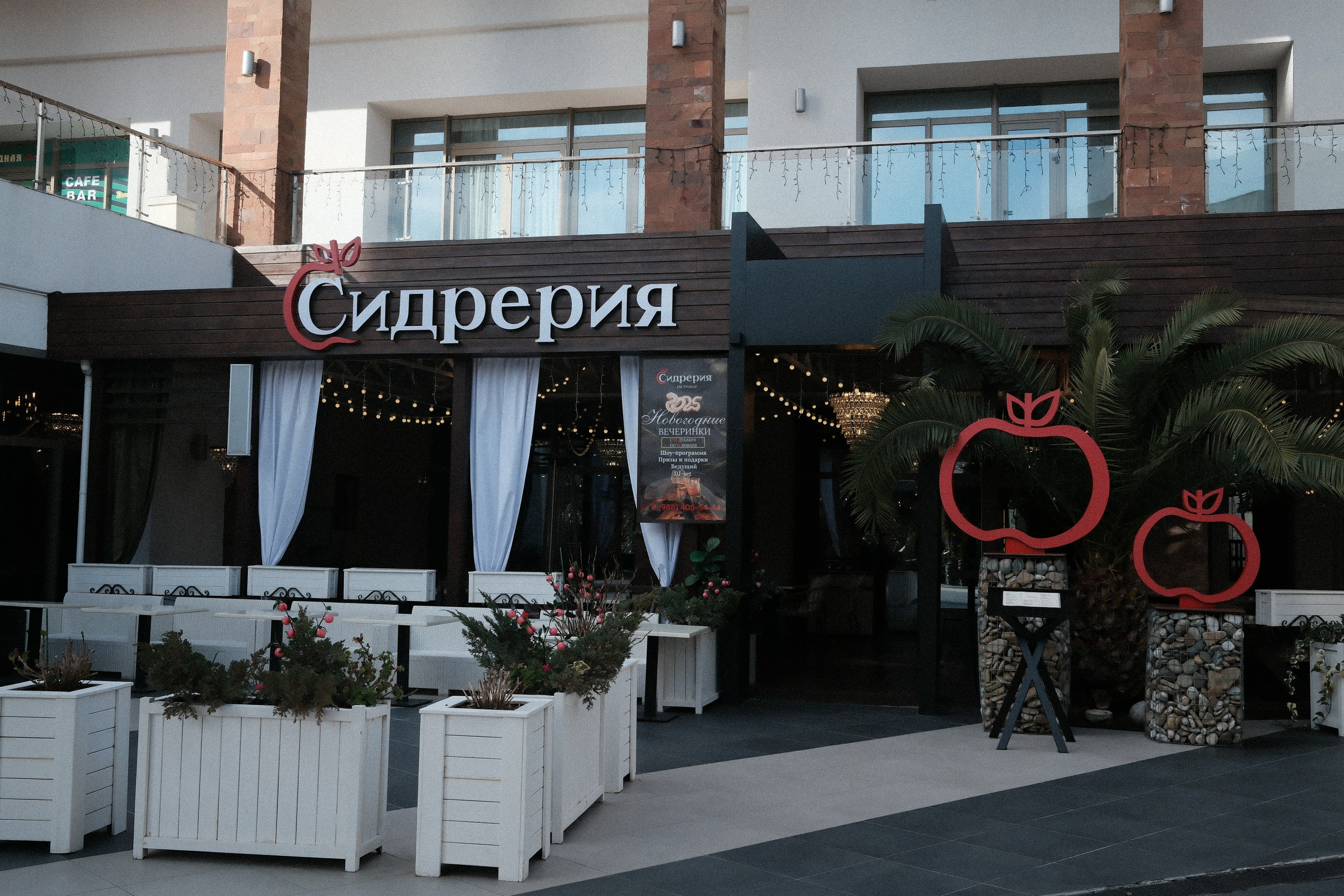 Фотографии зимнего Адлера. Алексей Торопов фотограф