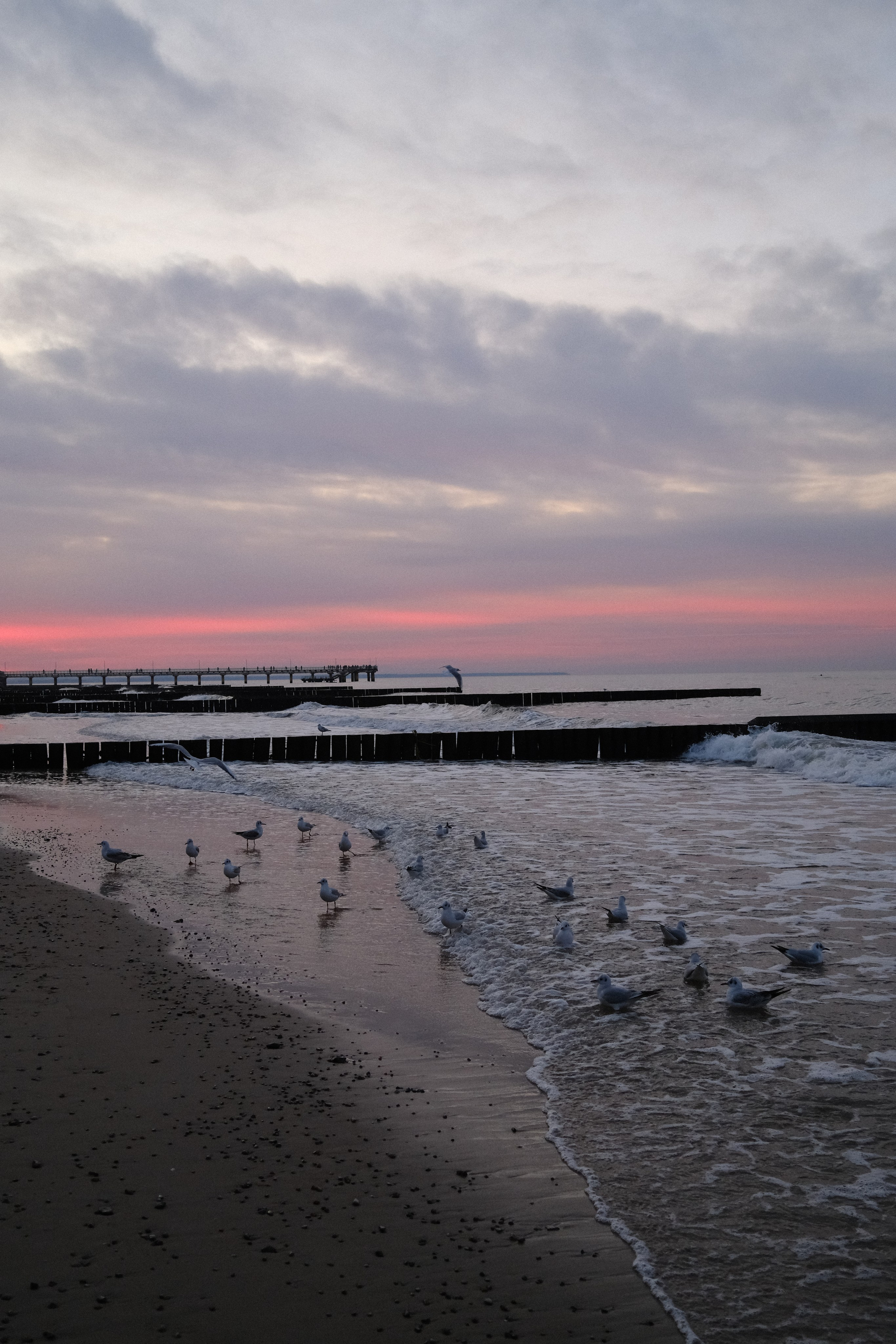 Зеленоградск. Калининградская область. Алексей Торопов фотограф