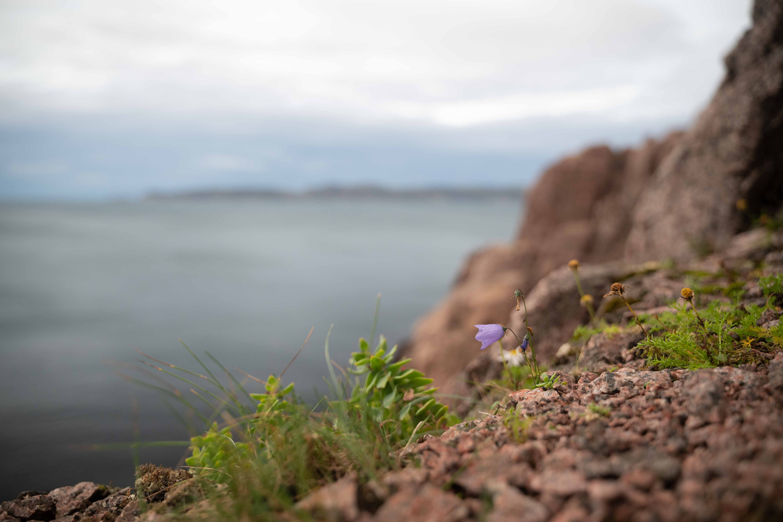 Travel. Андрей Пиотровский. Фотограф