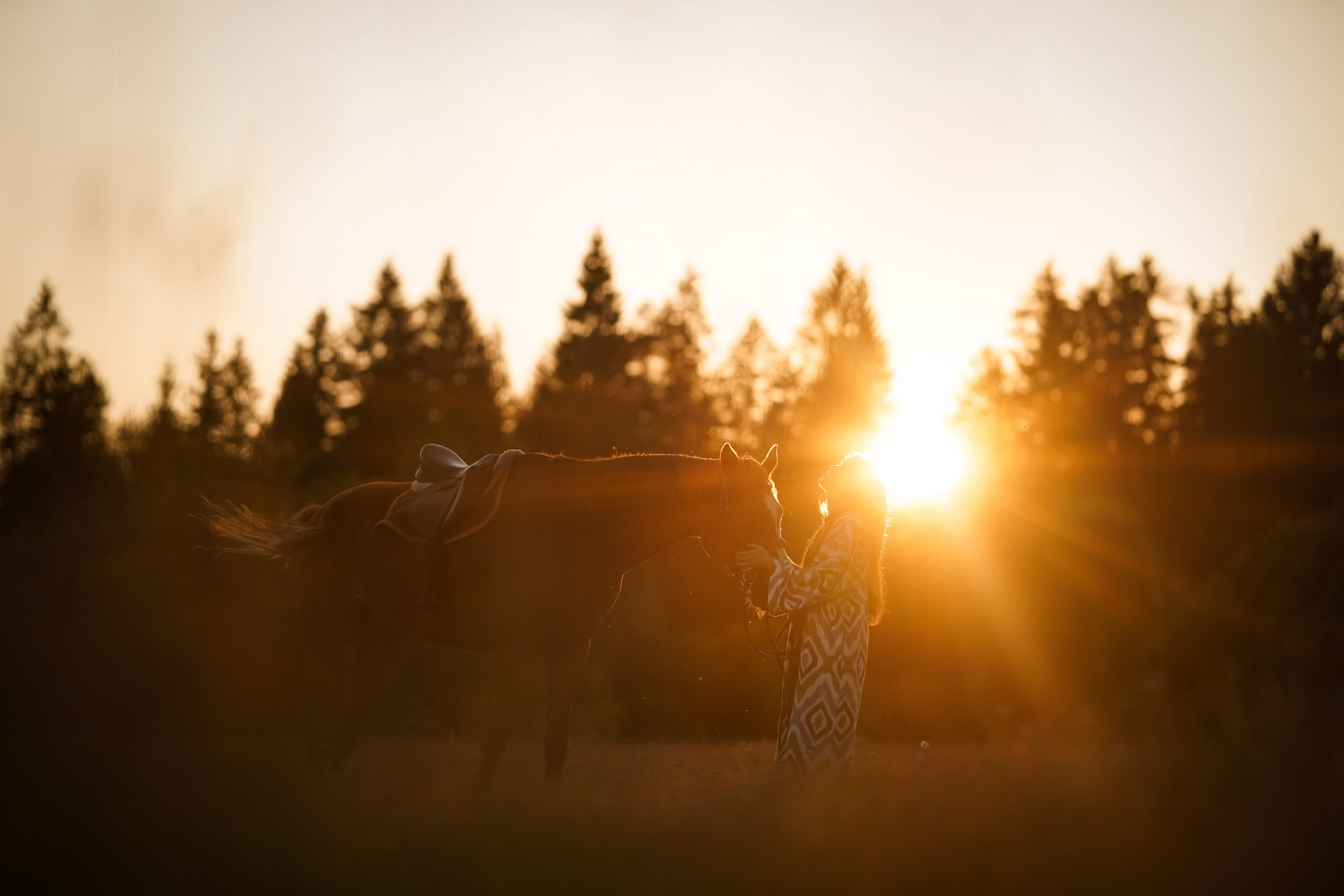 Лера Джон и Диамант. Фотограф-анималист в Санкт-Петербурге Яна Мартынова