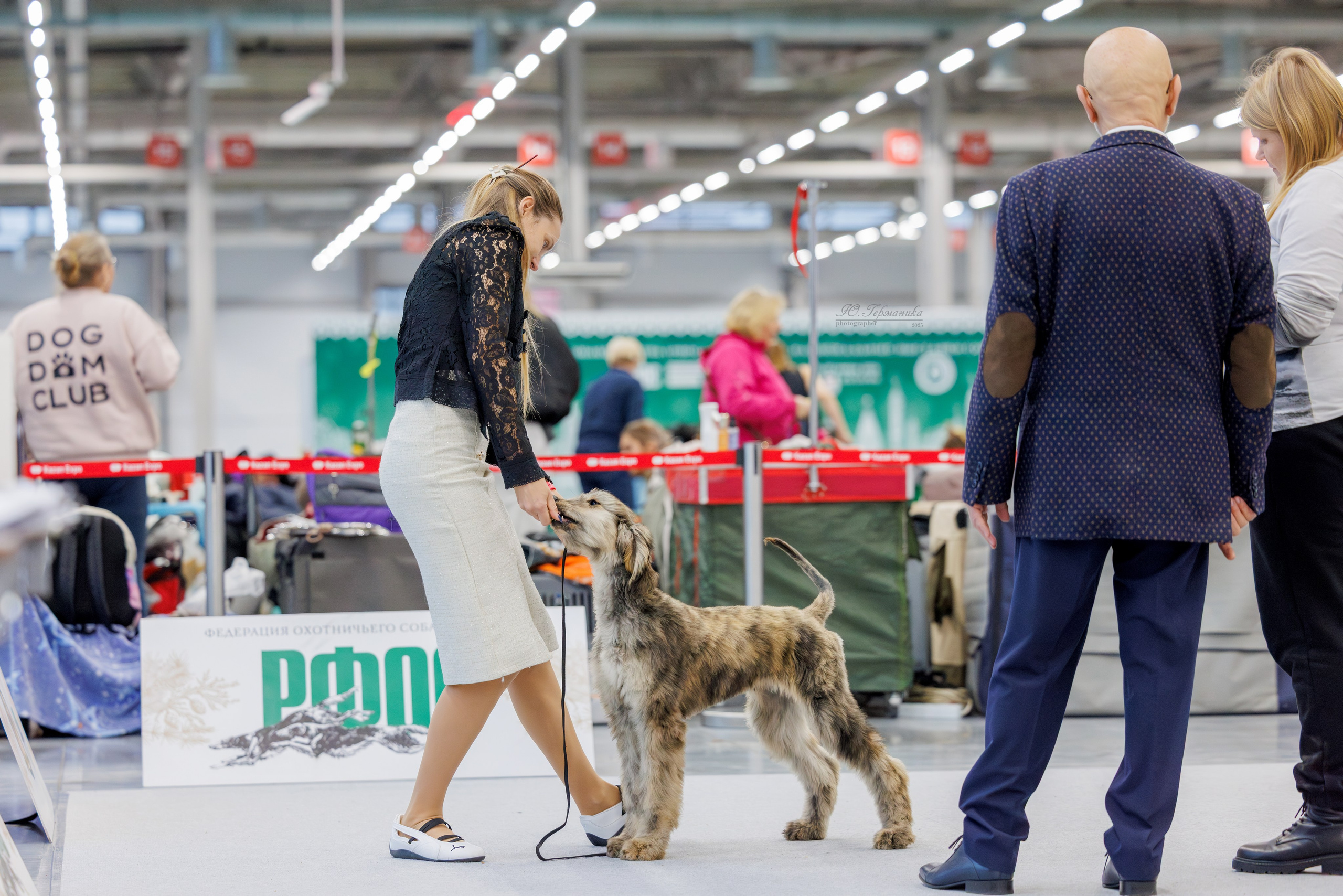 Зилант Казань 29-30.11.2025. Фотограф-анималист Юлия Германика