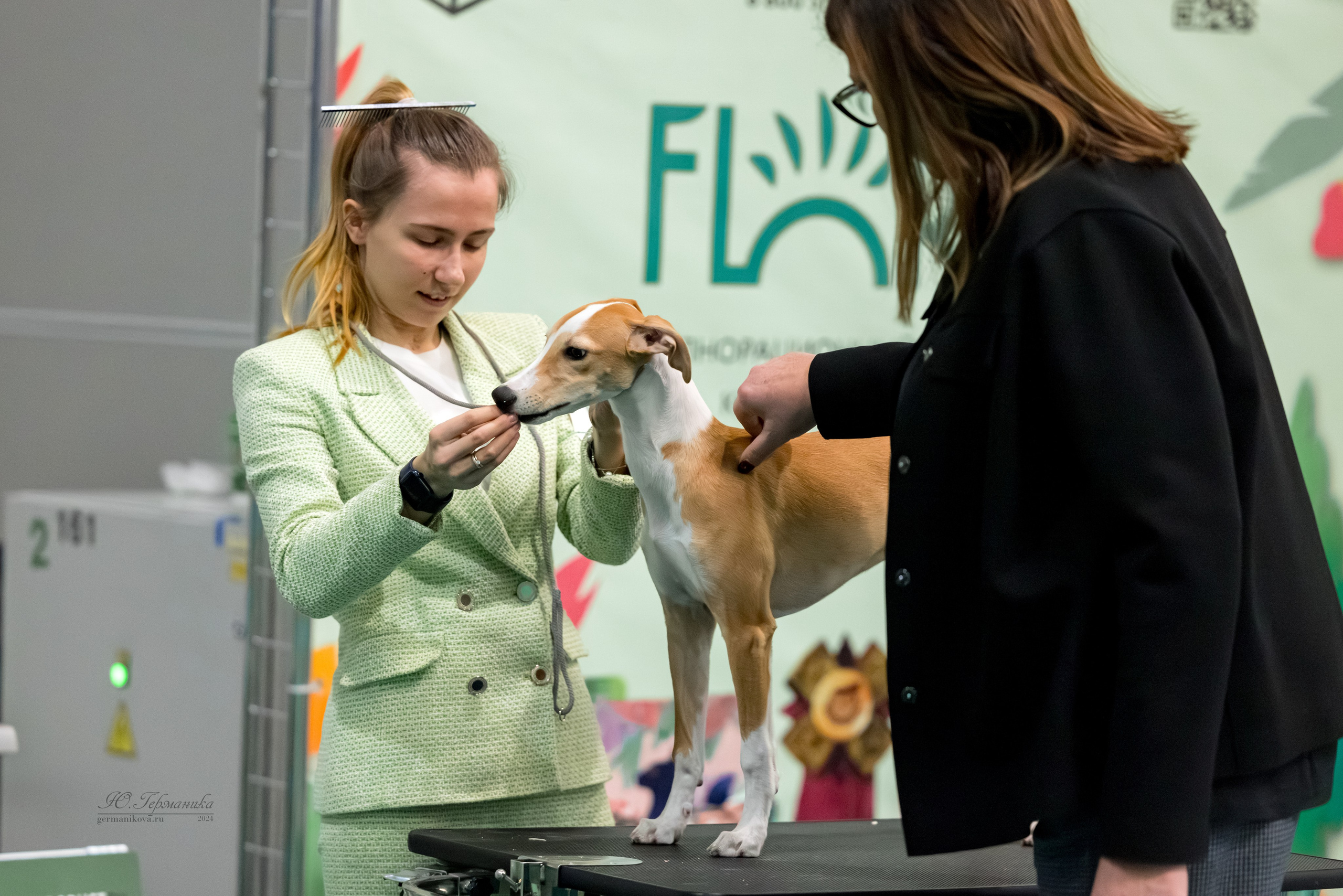 Крокус 21.12.2024,Сфера 29.12.2024. Фотограф-анималист Юлия Германика