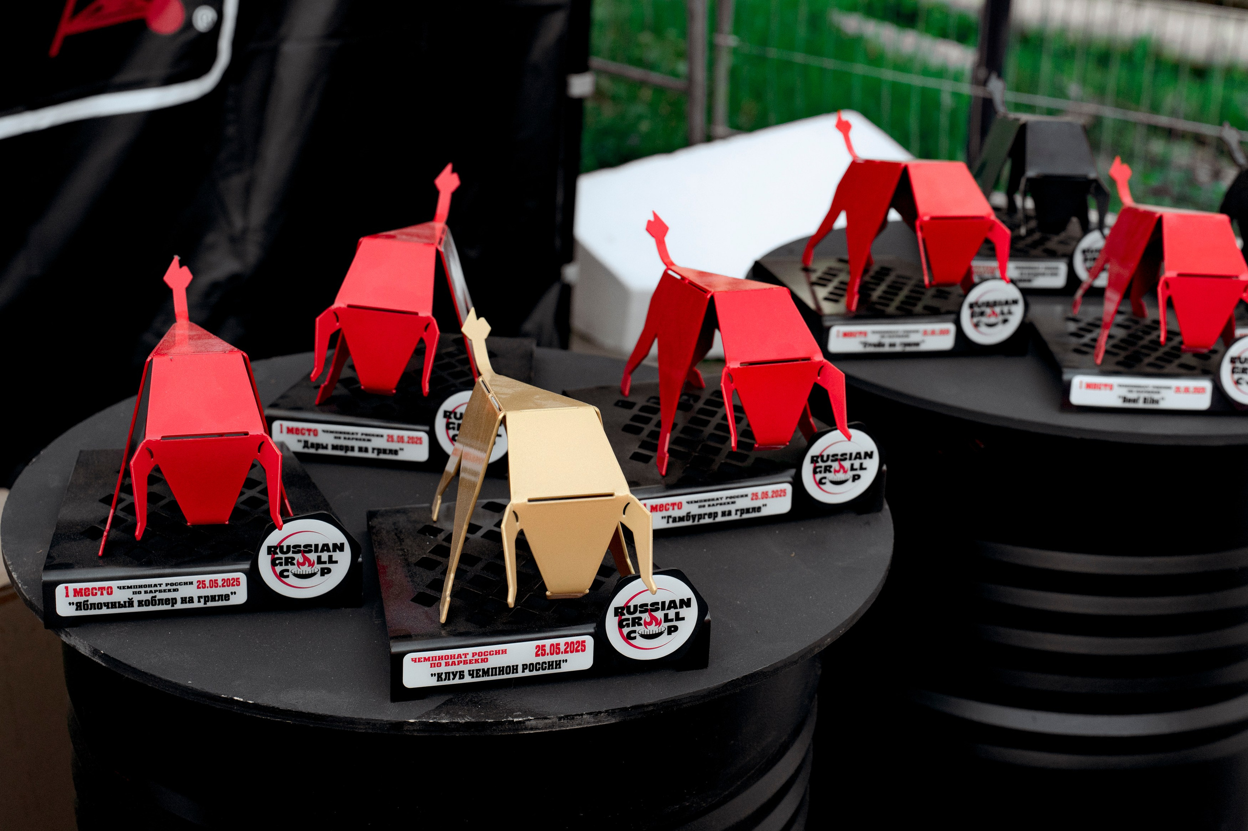 Гриль Фест 2025. Свадебный фотограф Москва