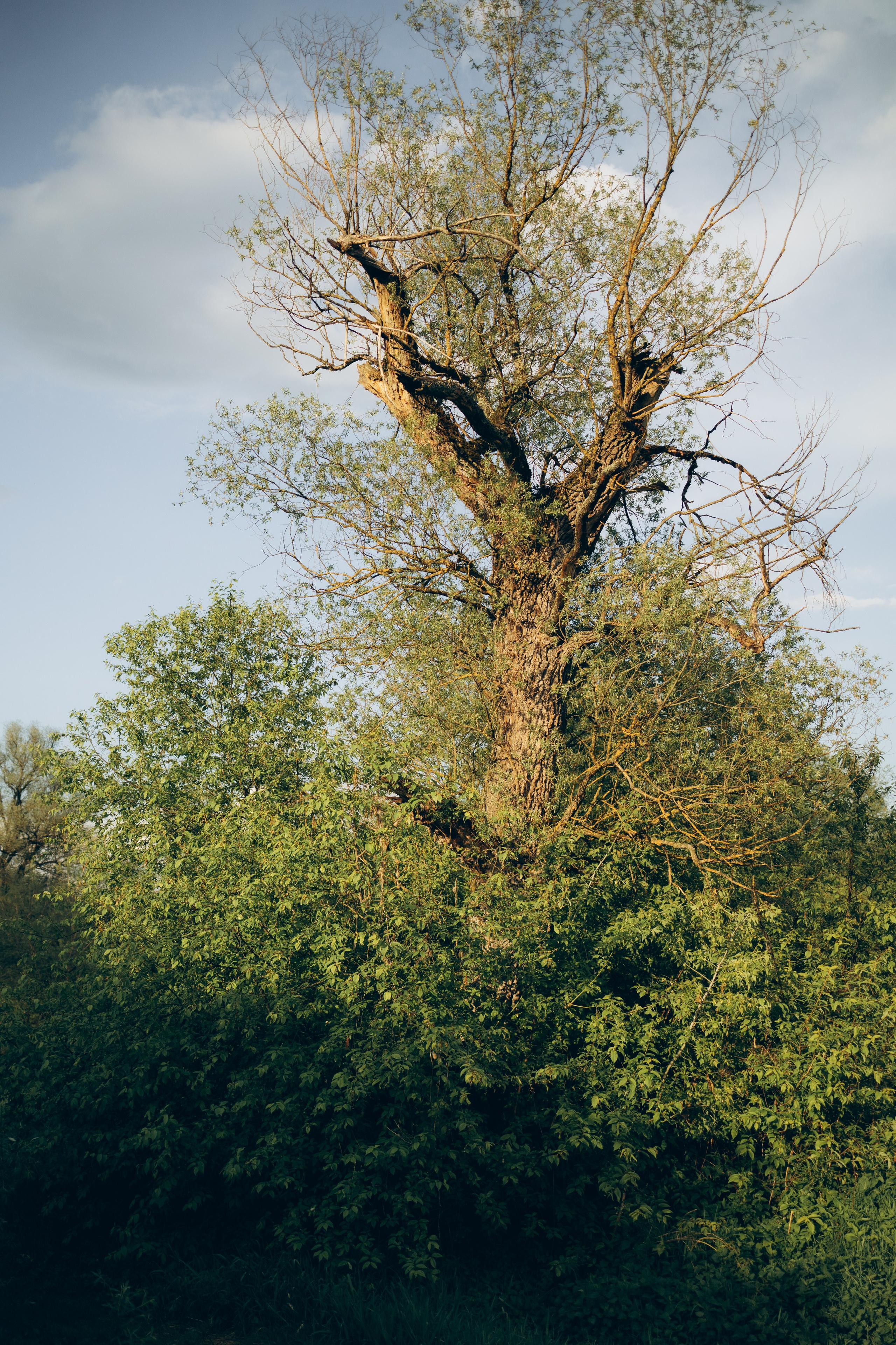 Istra. Женский фотограф Истра