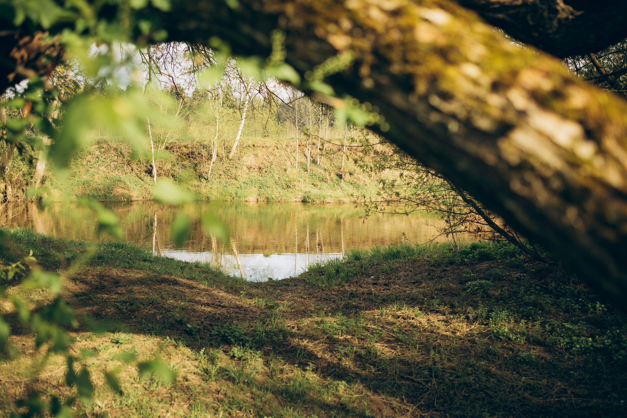 Istra. Женский фотограф Истра