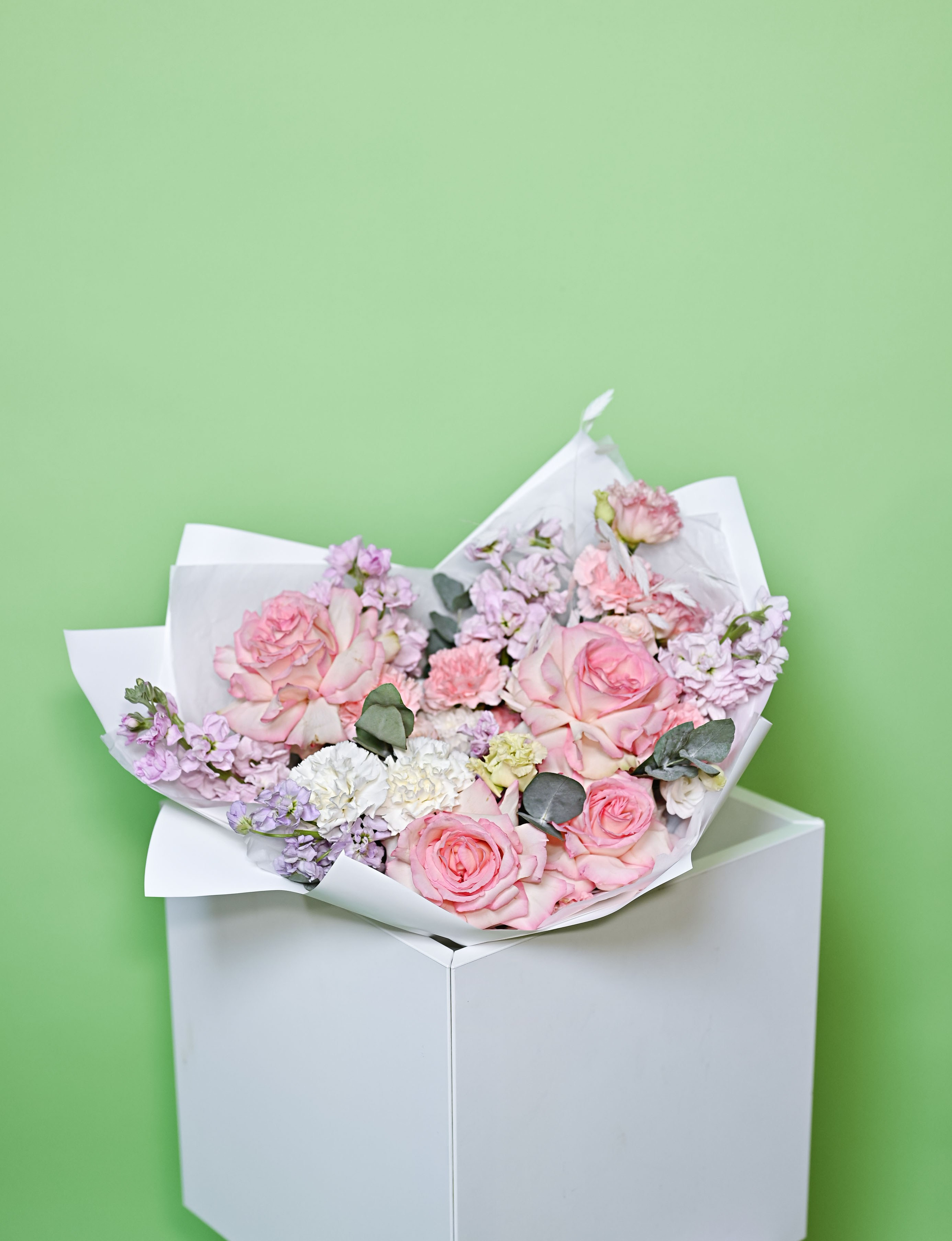 . ZDARONOKIA Репортажный фотограф