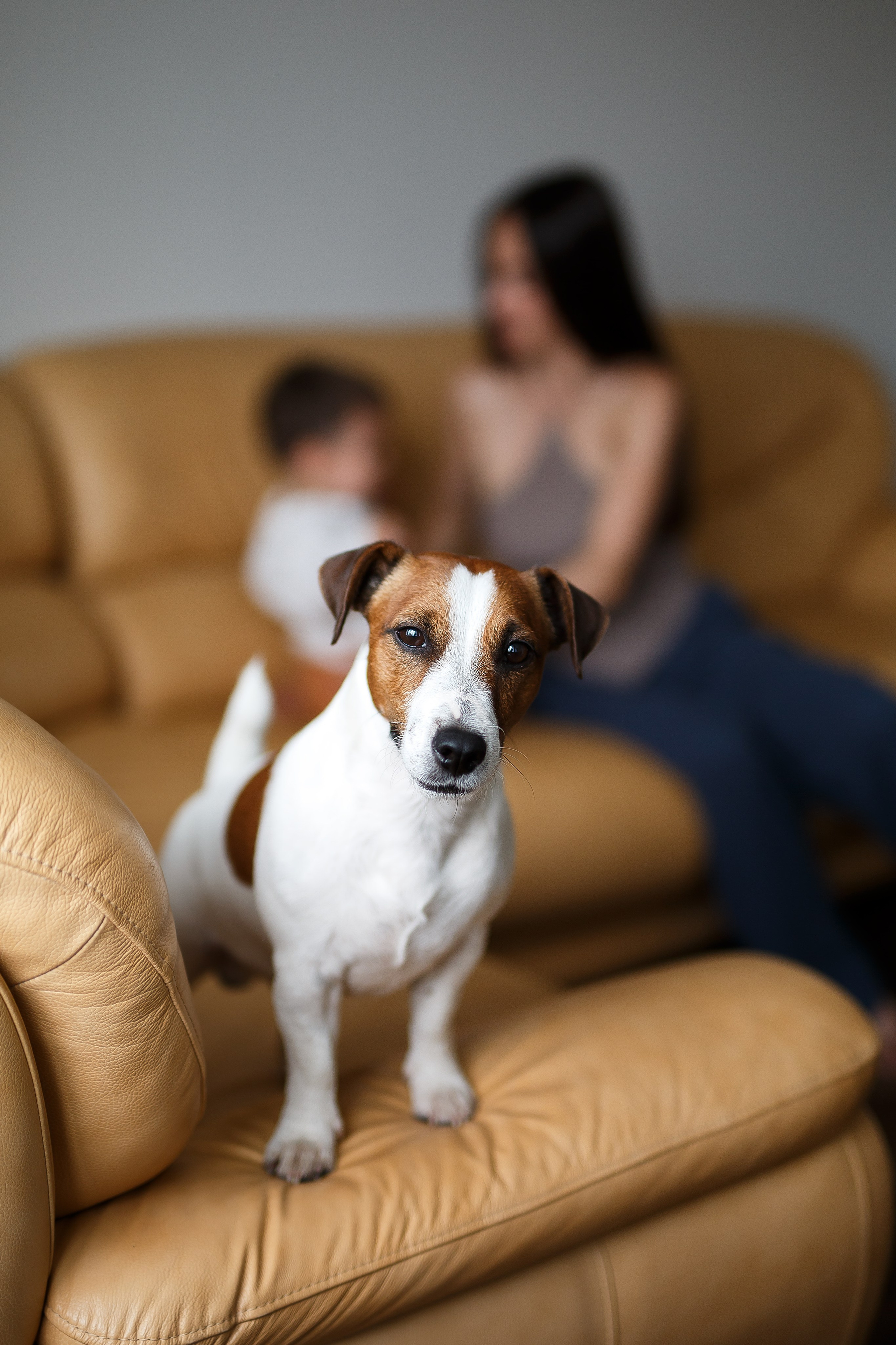 Домашние семейные съёмки. Семейный фотограф в Брянске Александра Щербакова