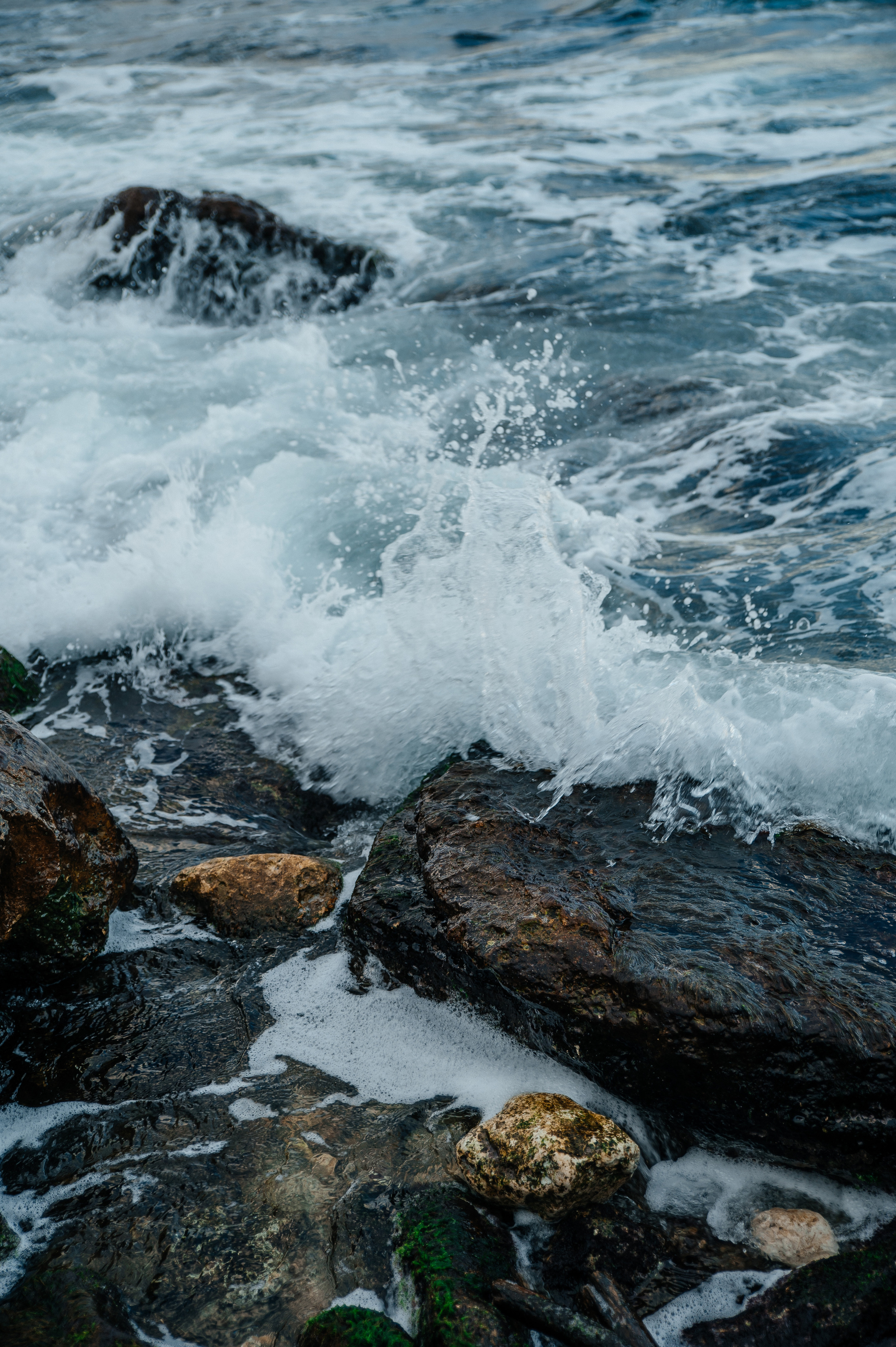 Алина. Фотограф в Севастополе — Ольга Максименко