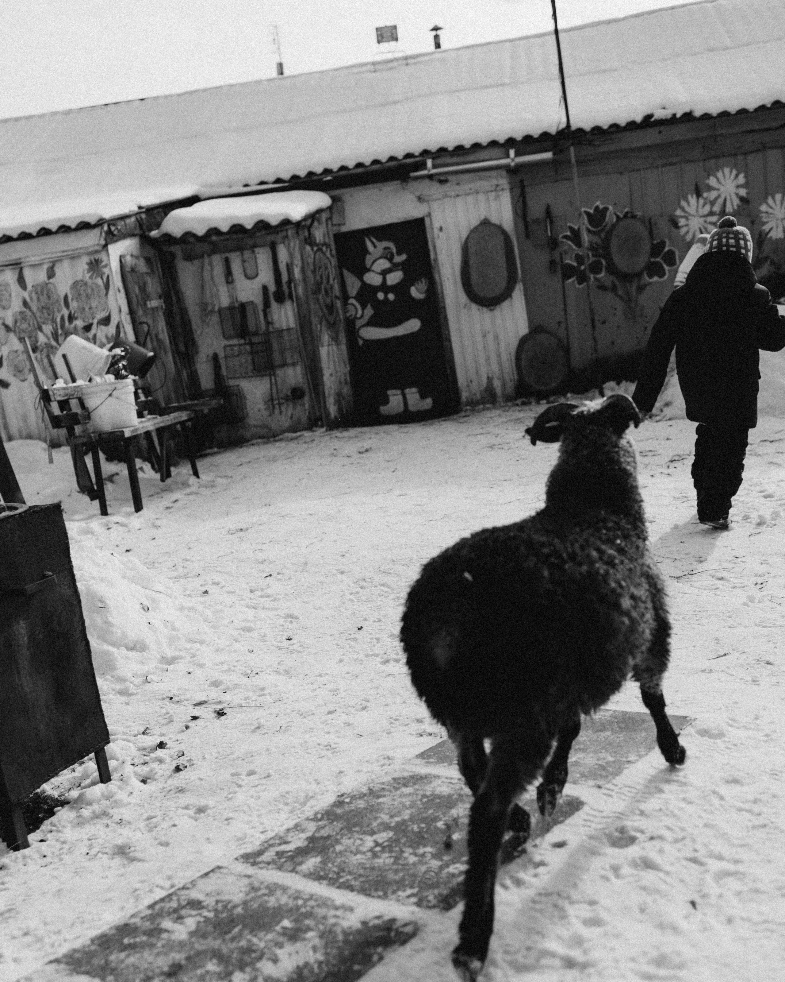 Жизнь в деревне. Главная