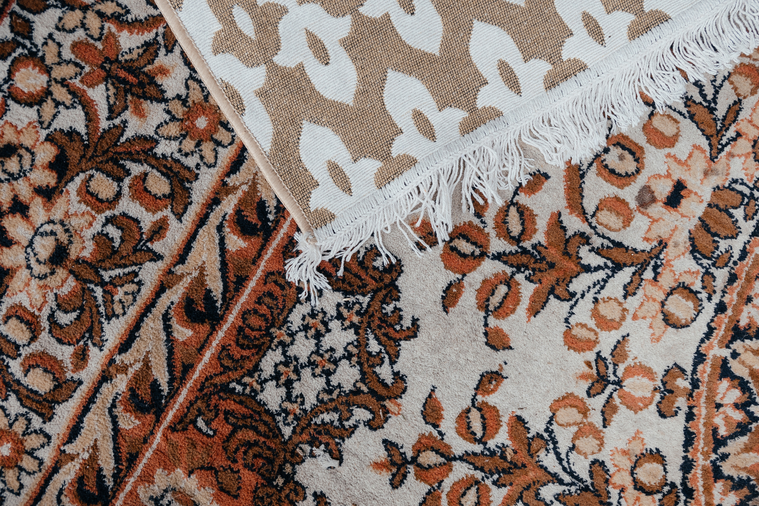 Родители Бекона женятся. Home