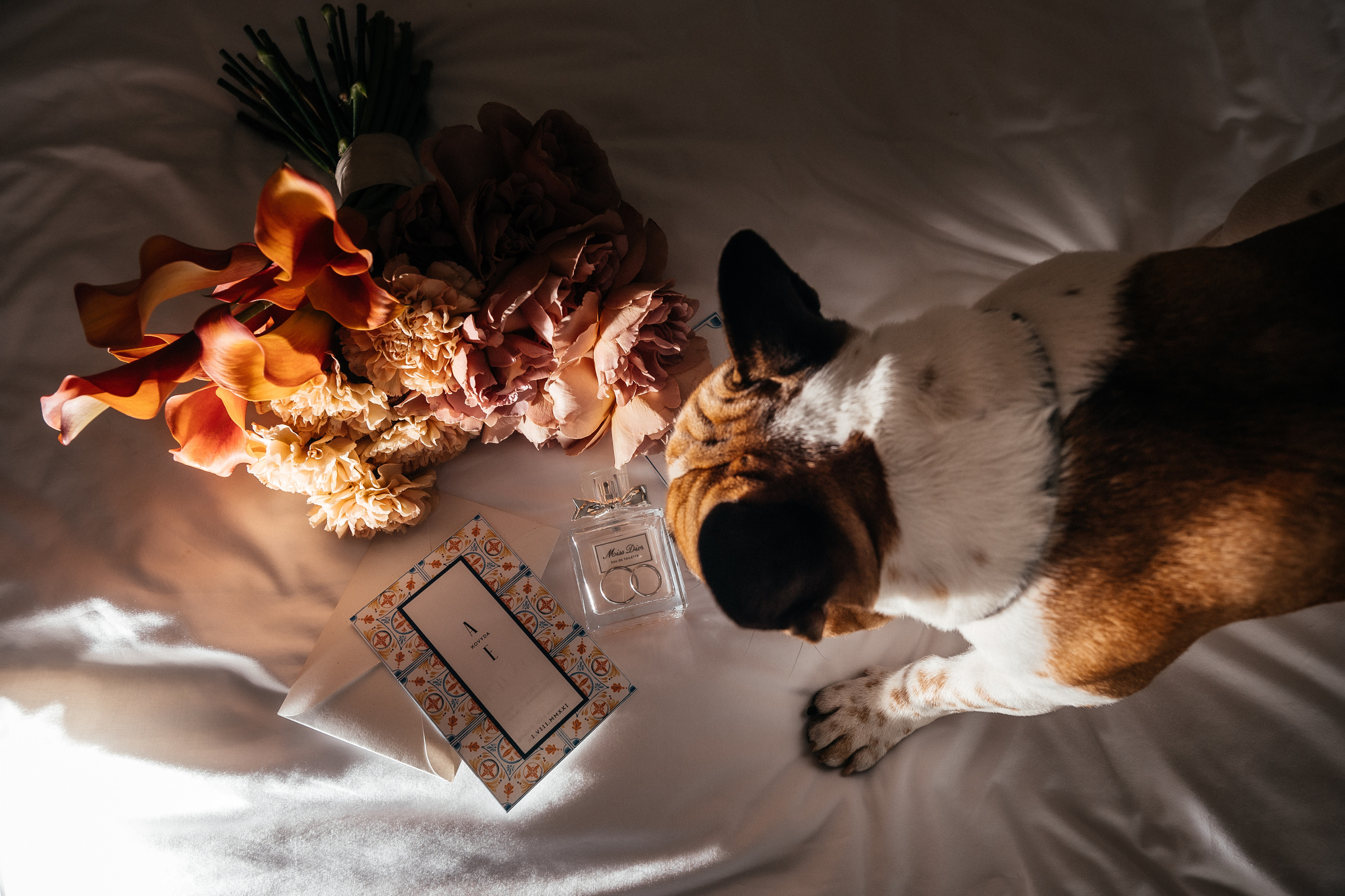 Родители Бекона женятся. Home