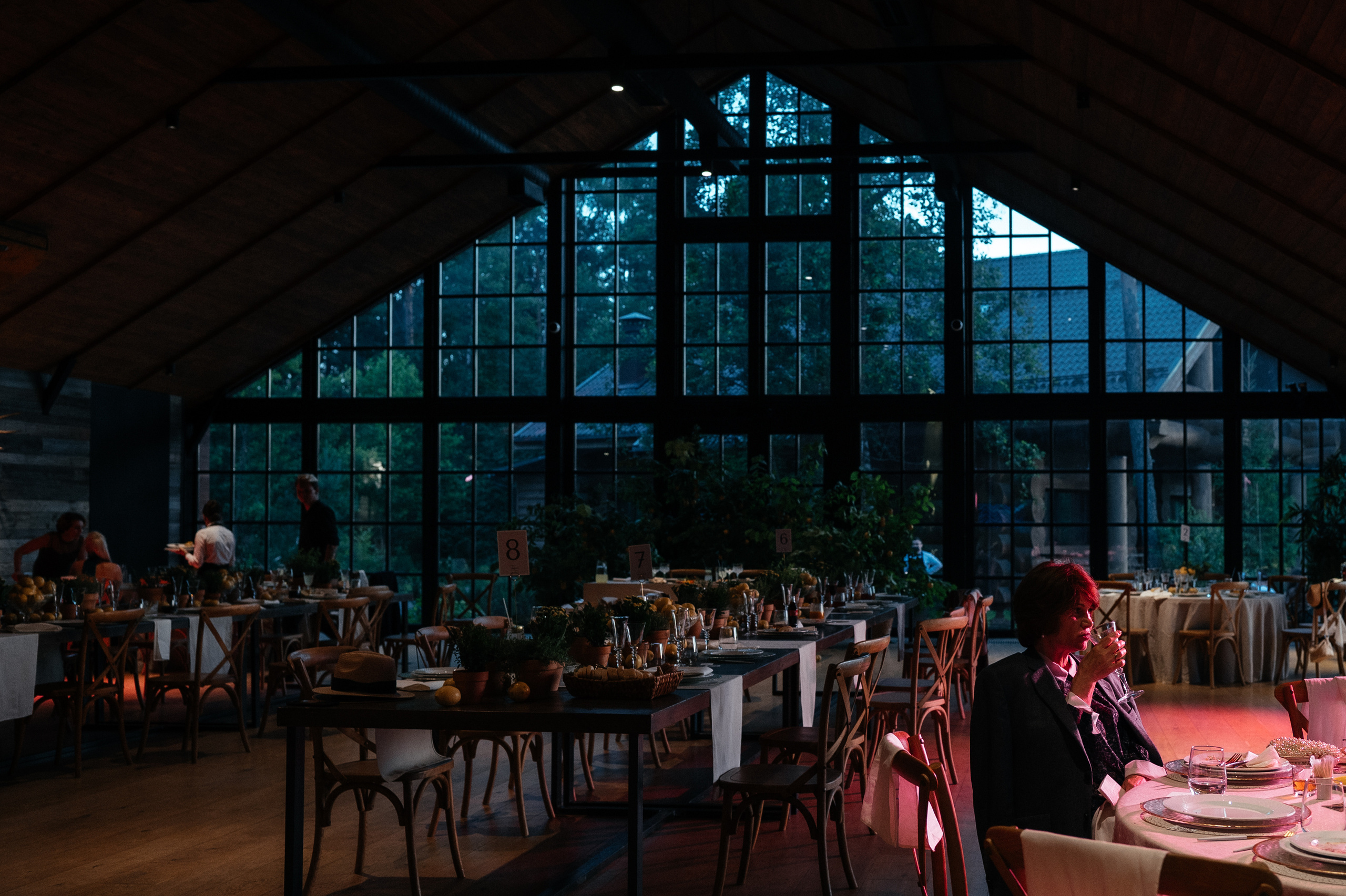 Папа сделал Лимончелло. Алина Посторонка