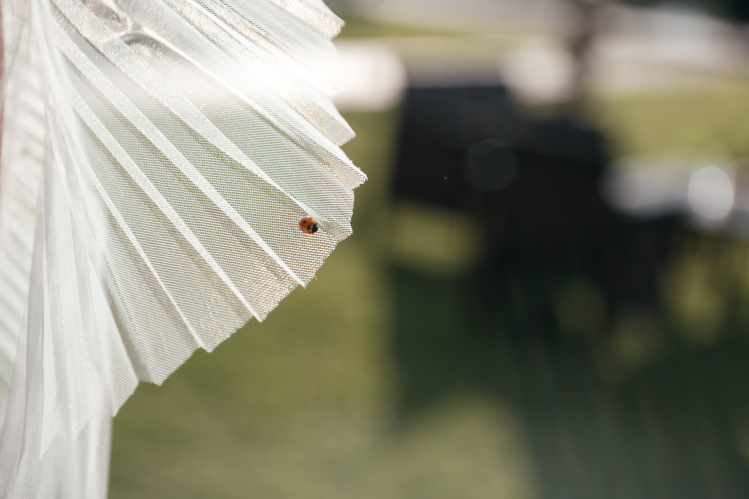 Папа сделал Лимончелло. Алина Посторонка