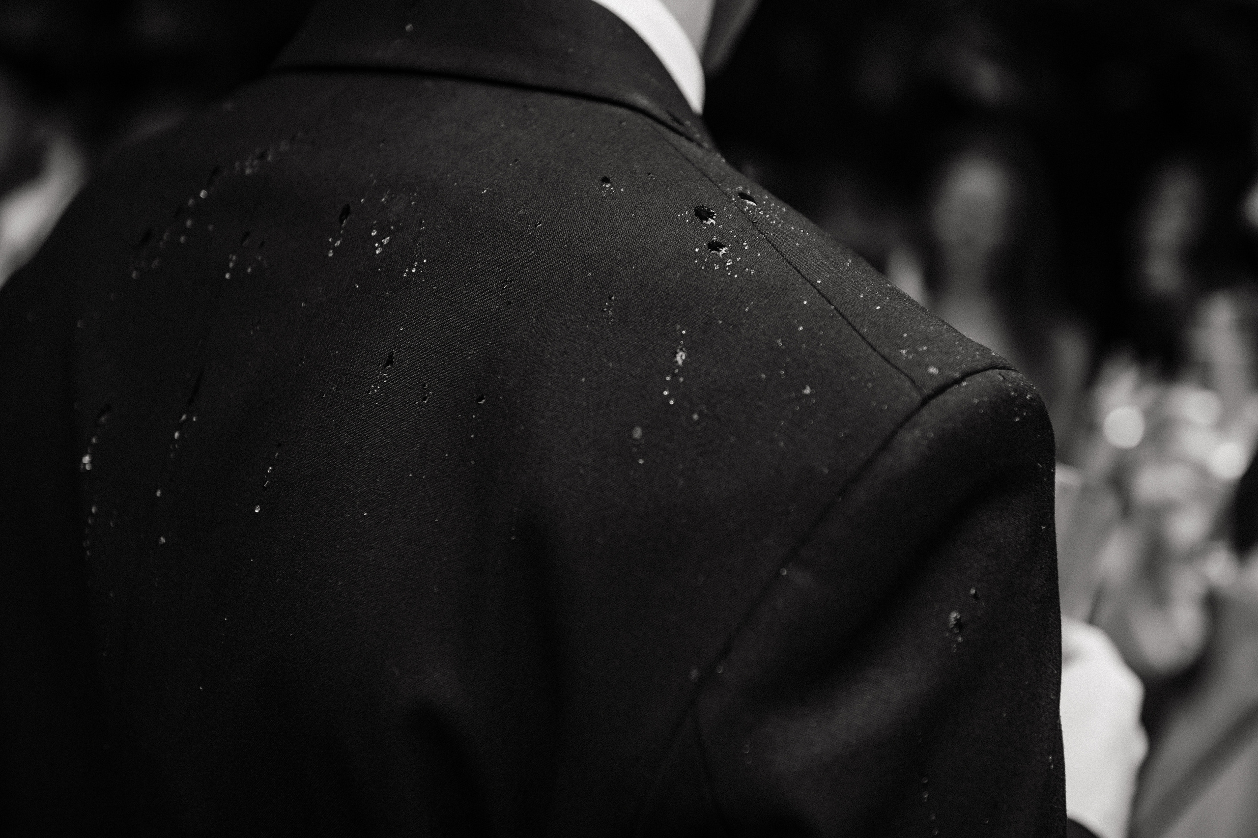 Родители Бекона женятся. Home