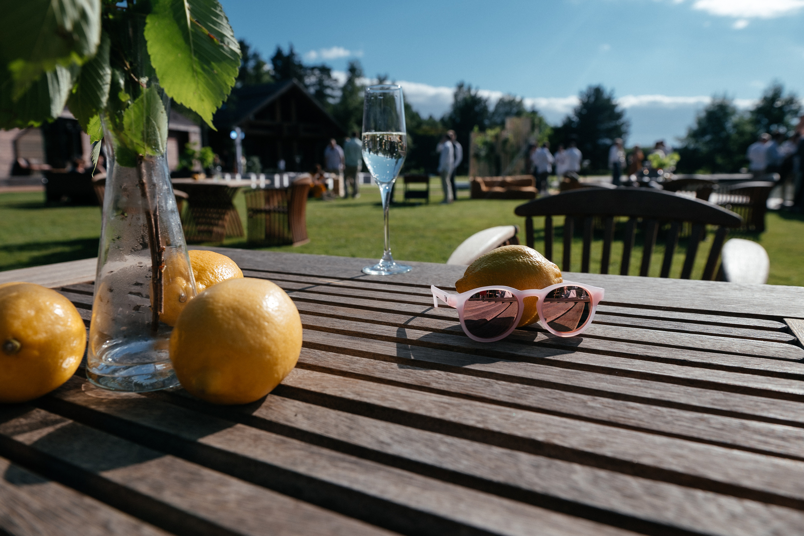 Папа сделал Лимончелло. Алина Посторонка