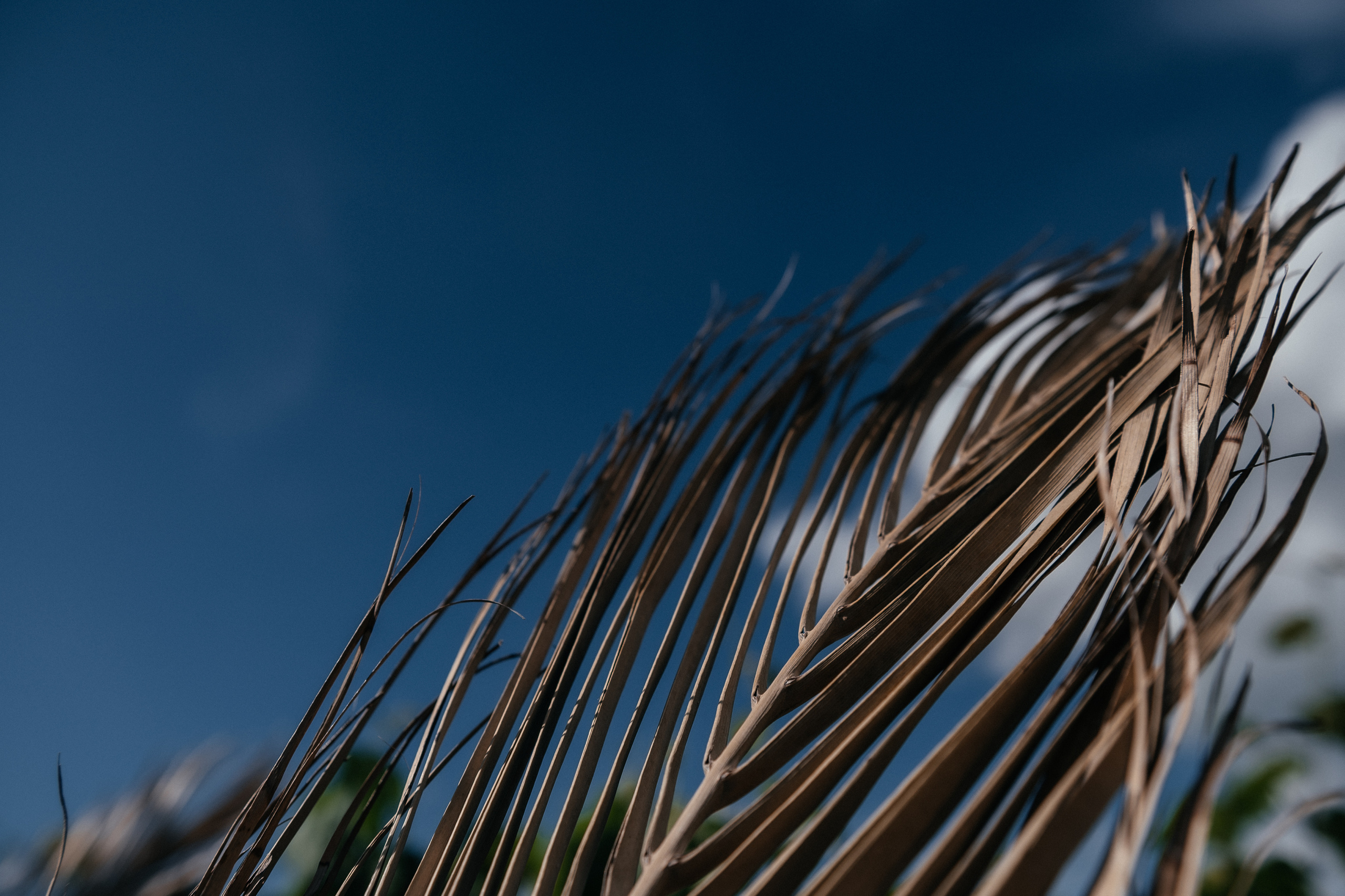 Где-то выше домов. Алина Посторонка