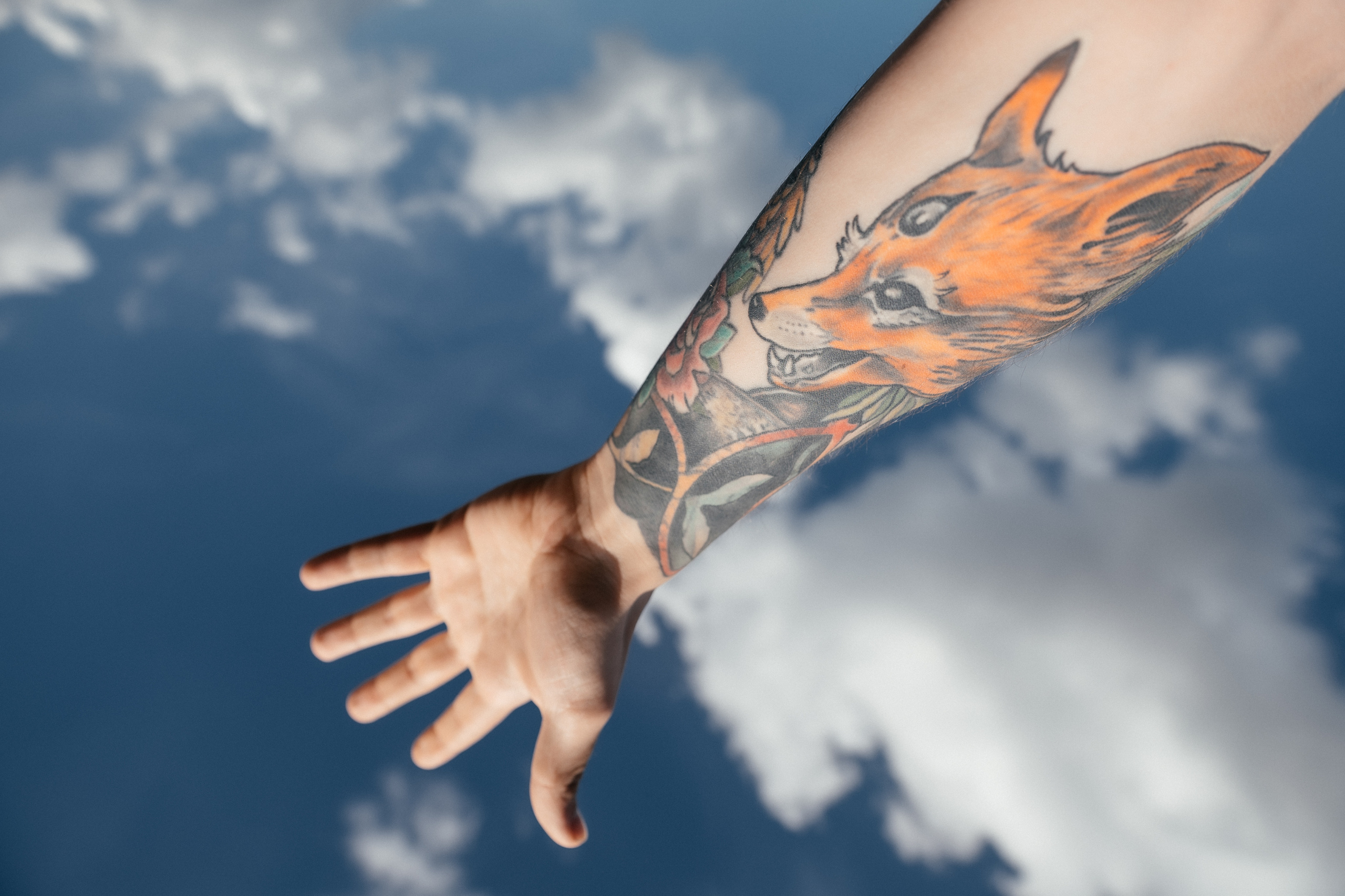 Где-то выше домов. Алина Посторонка