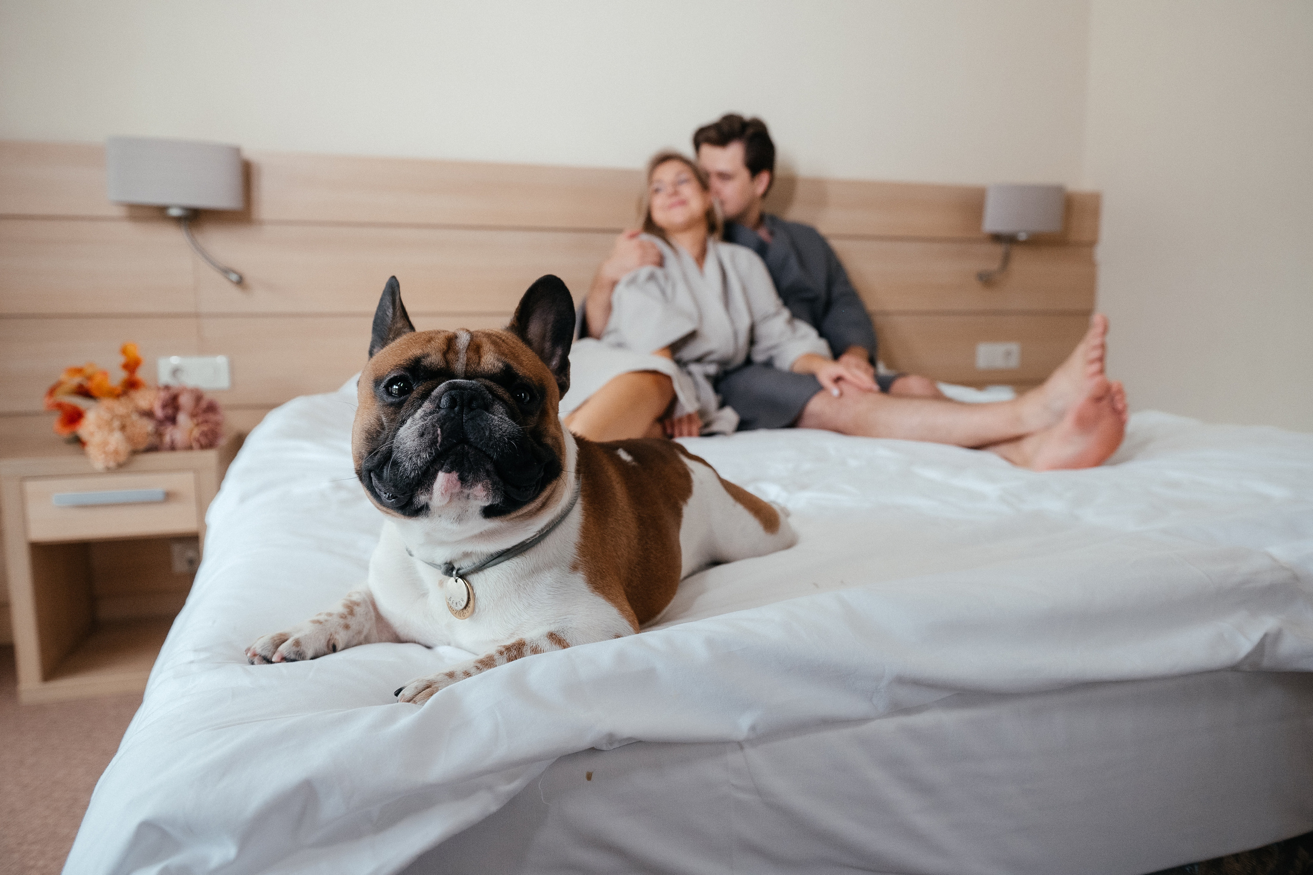 Родители Бекона женятся. Home