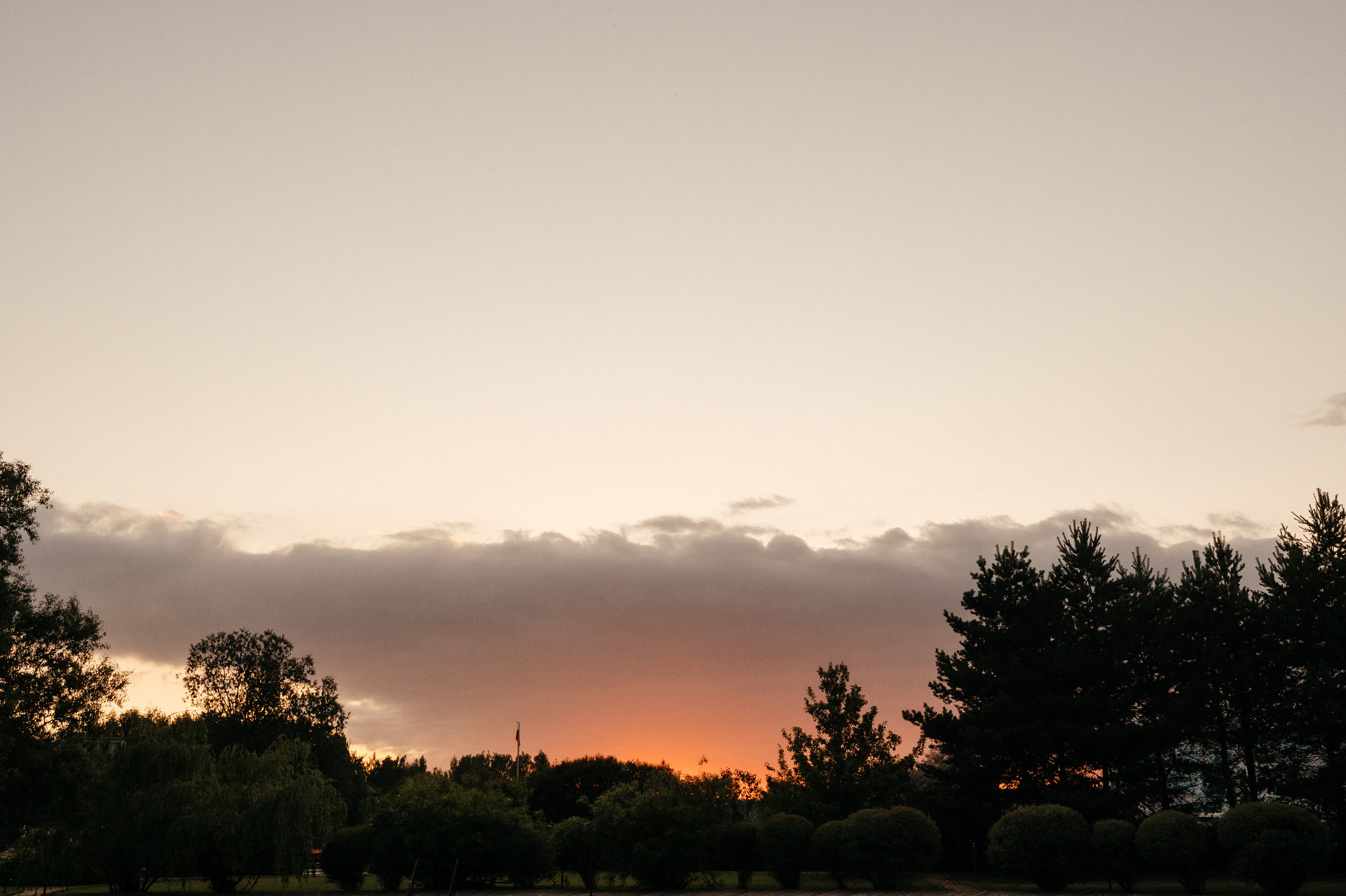 Папа сделал Лимончелло. Алина Посторонка