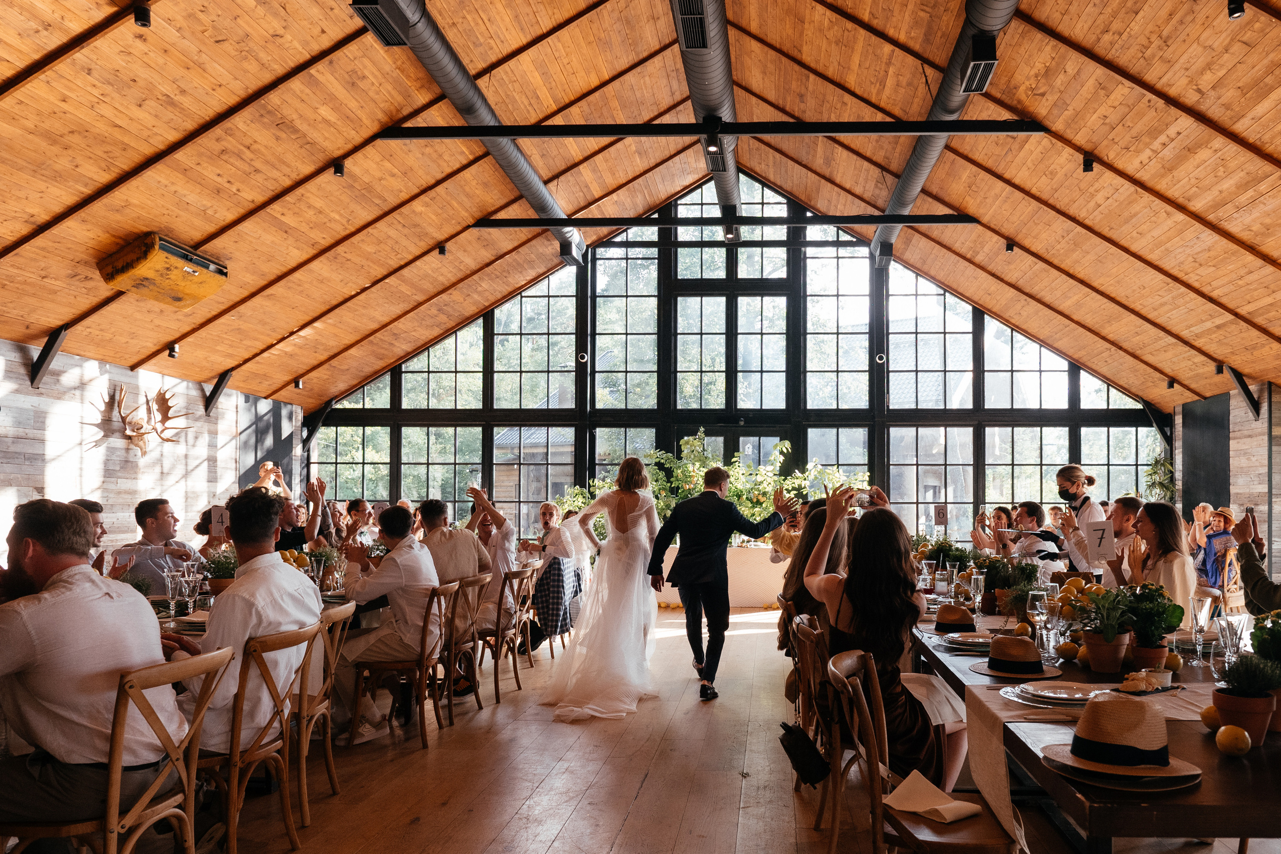 Папа сделал Лимончелло. Алина Посторонка