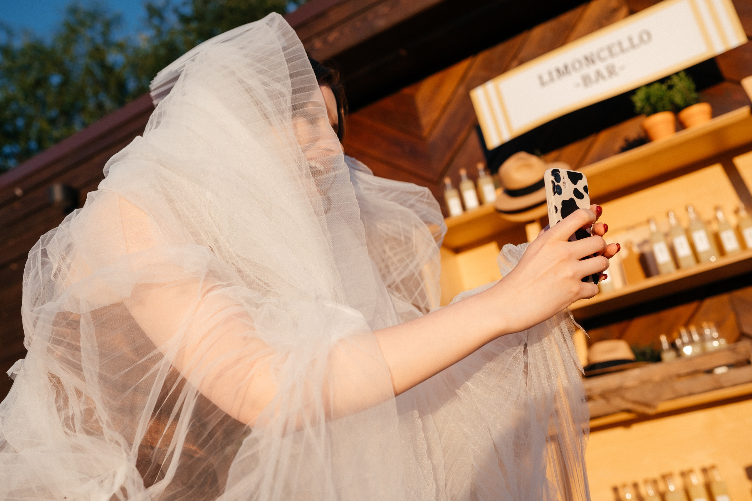 Папа сделал Лимончелло. Алина Посторонка