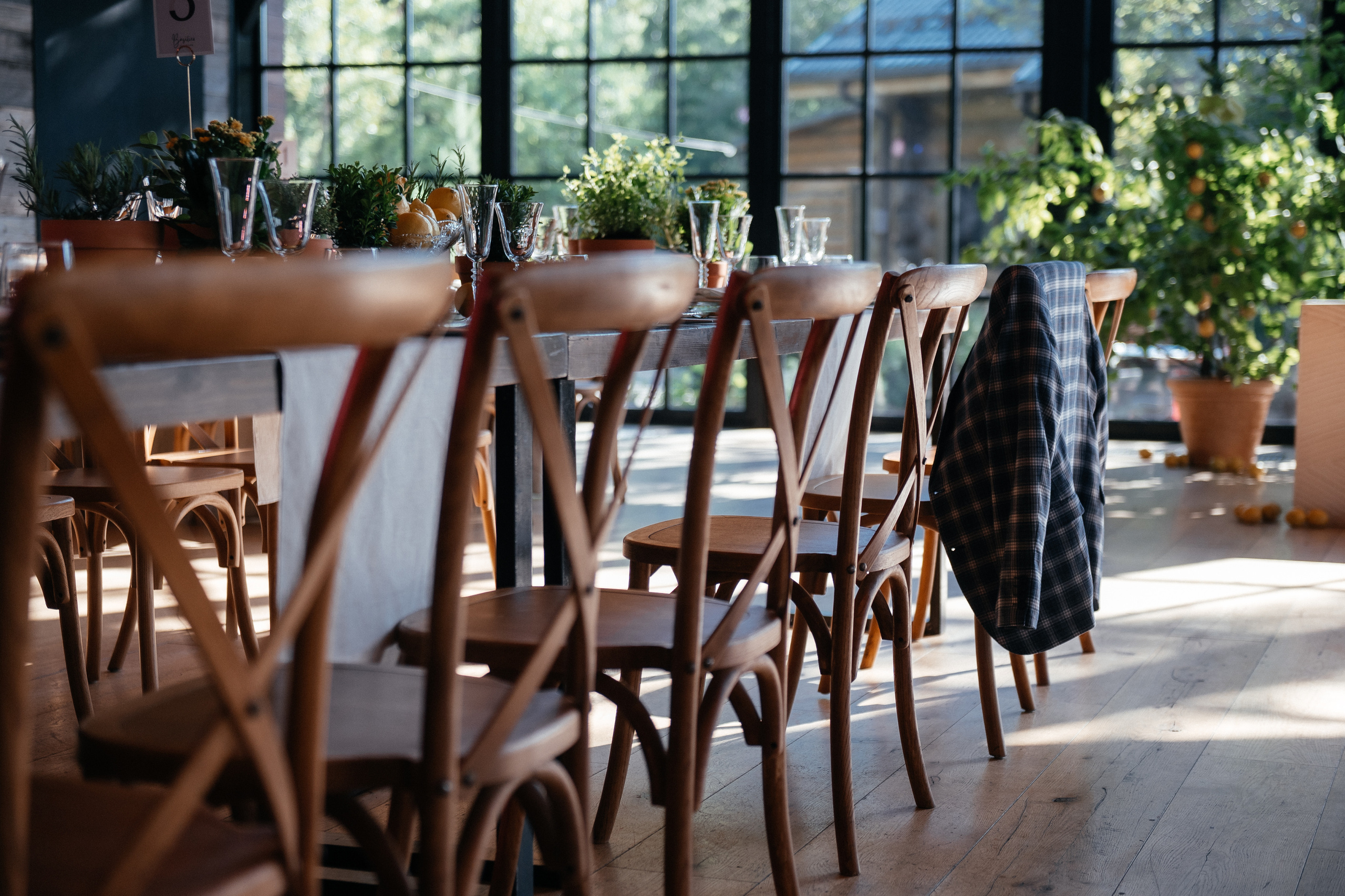 Папа сделал Лимончелло. Алина Посторонка