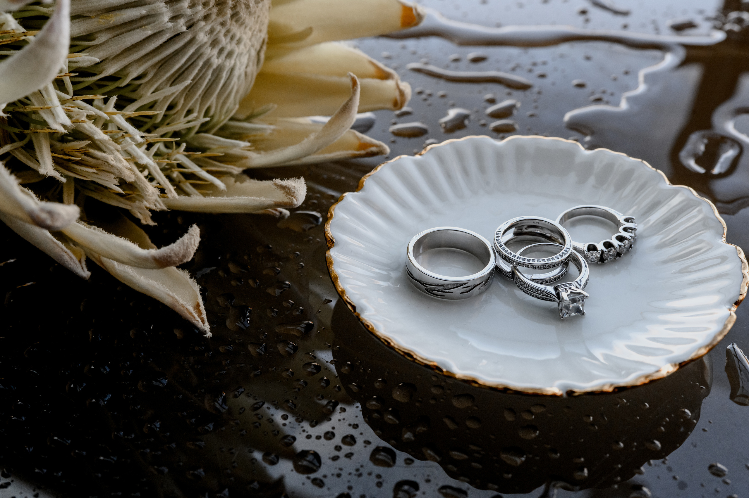 Touch. Алина Посторонка