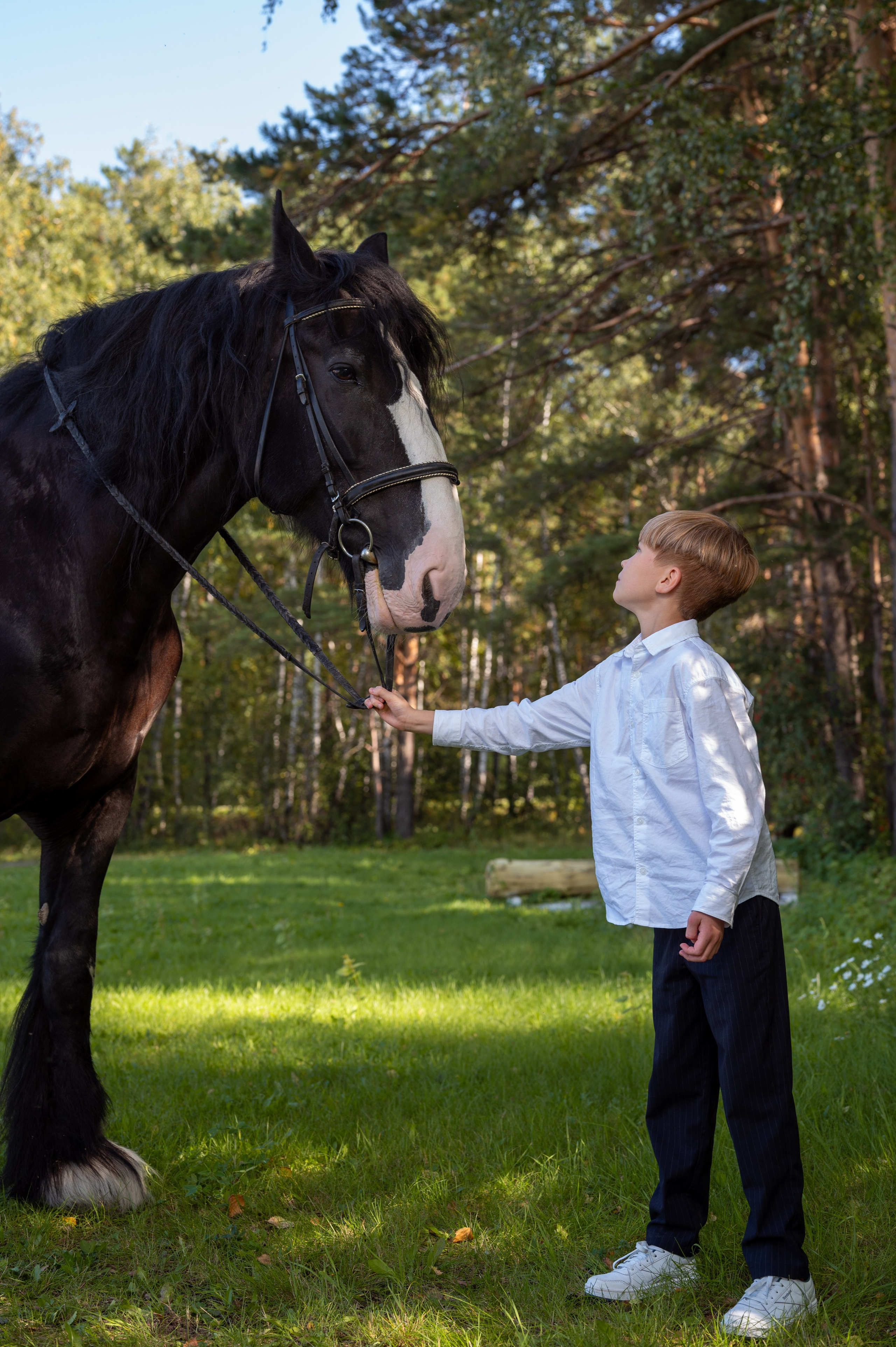 Конный клуб Аллегро, Екатерина. Фотограф новорожденных, семейный детский в Тюмени Татьяна Морозова