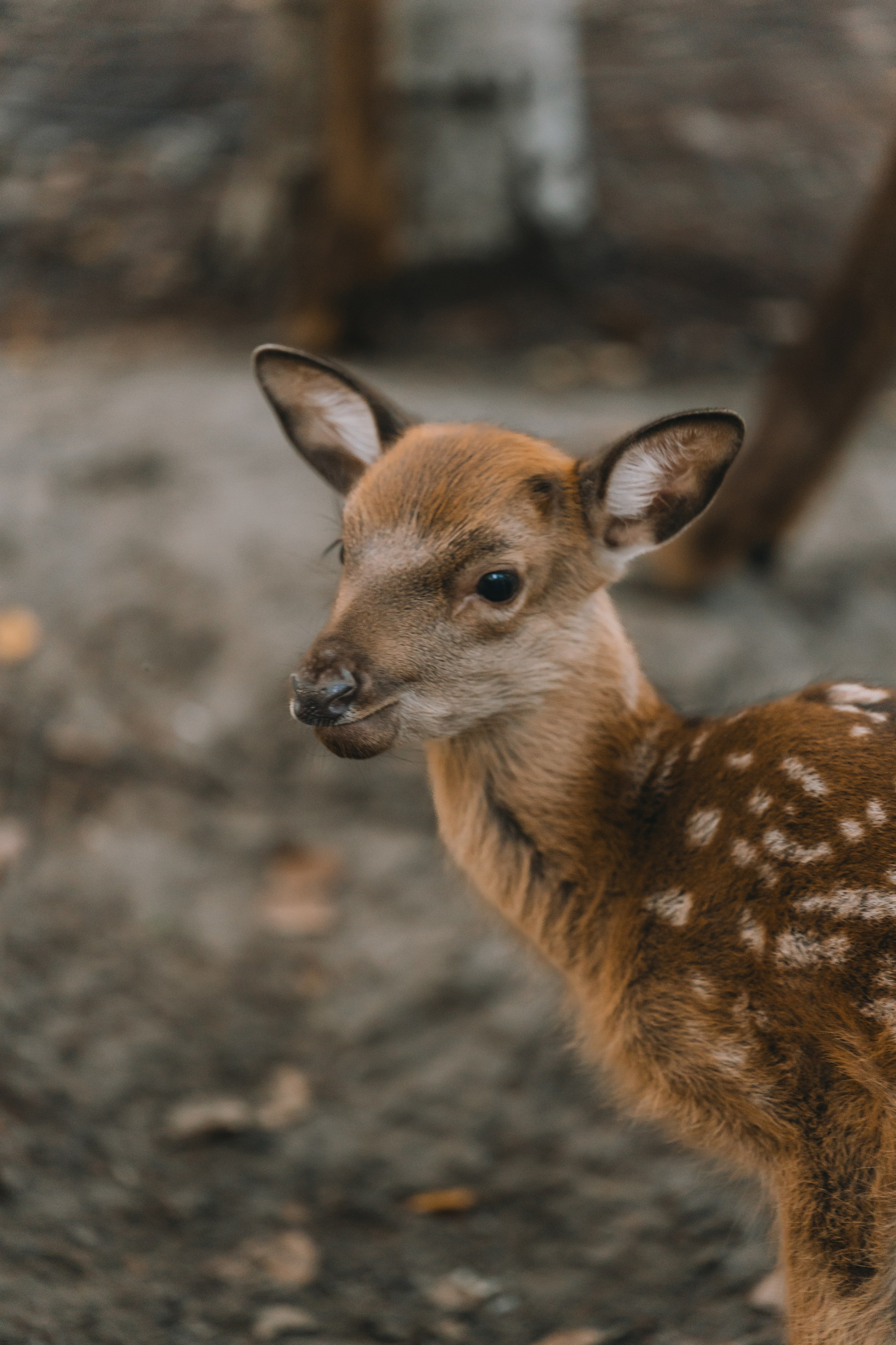 Усть-Каменогорск, Сентябрь 2024