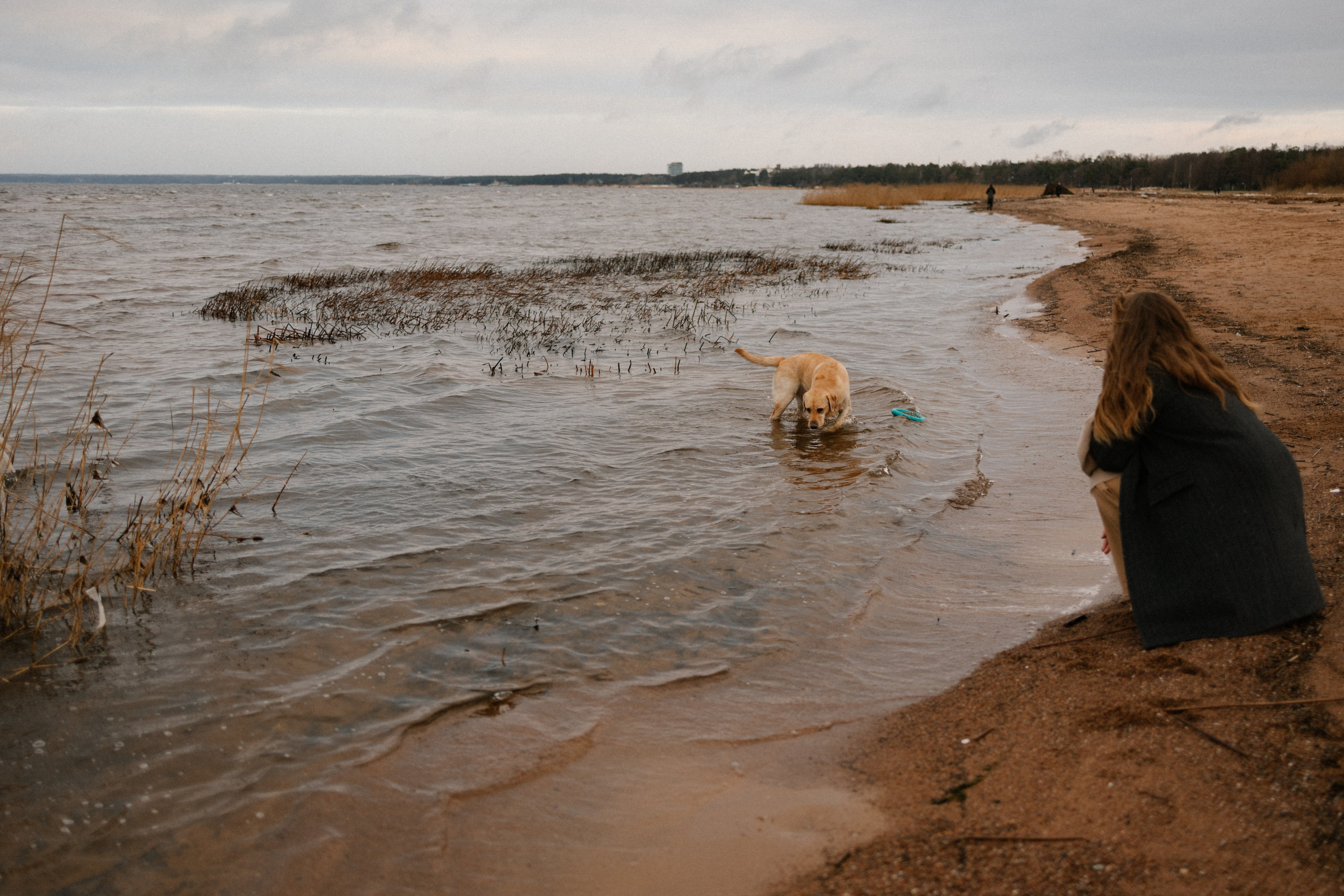 Ирина и Бася. Фотограф — Анималист | Санкт-Петербург