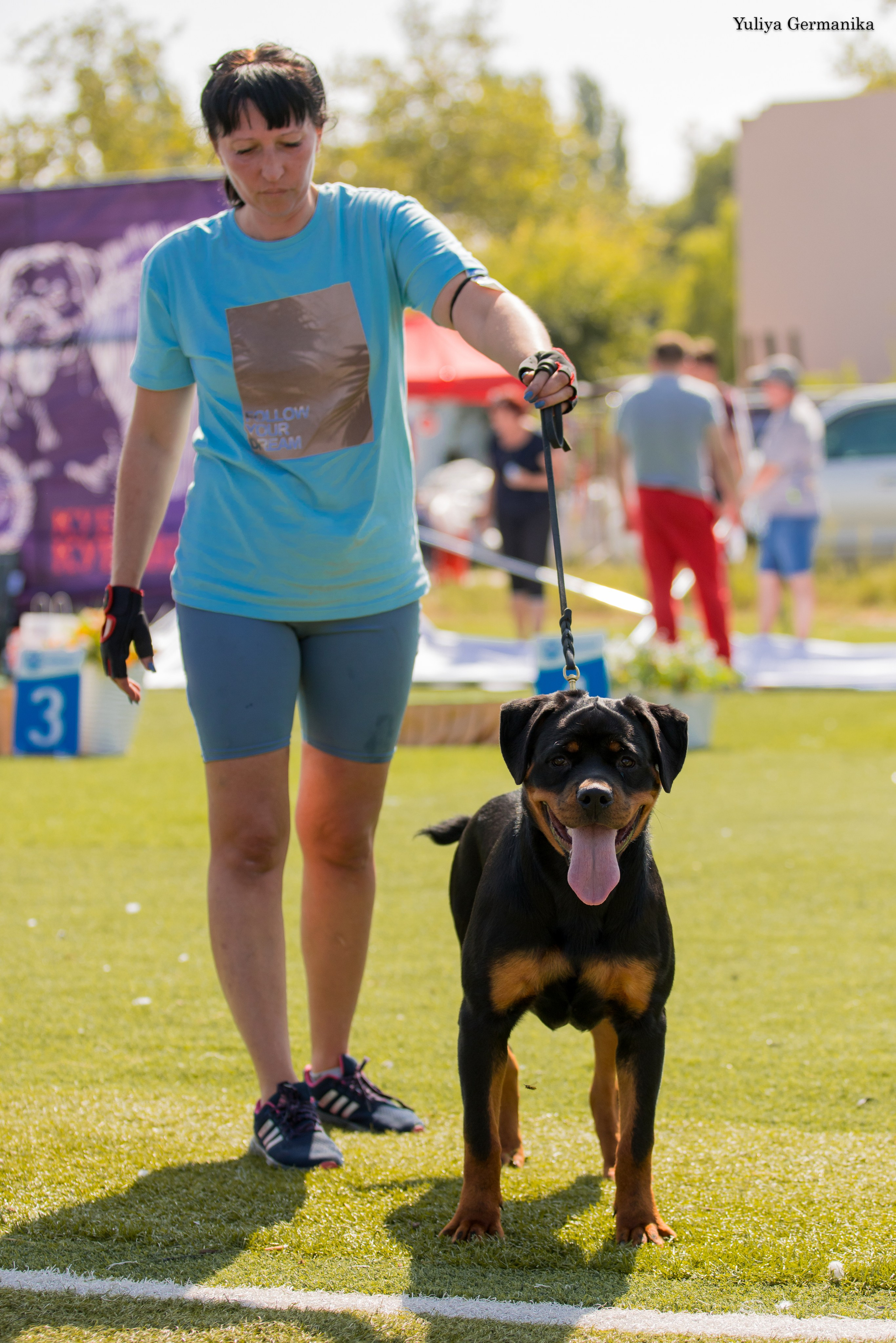 Анапа 16-17.09.2023 моно ротвейлеров. Фотограф-анималист Юлия Германика