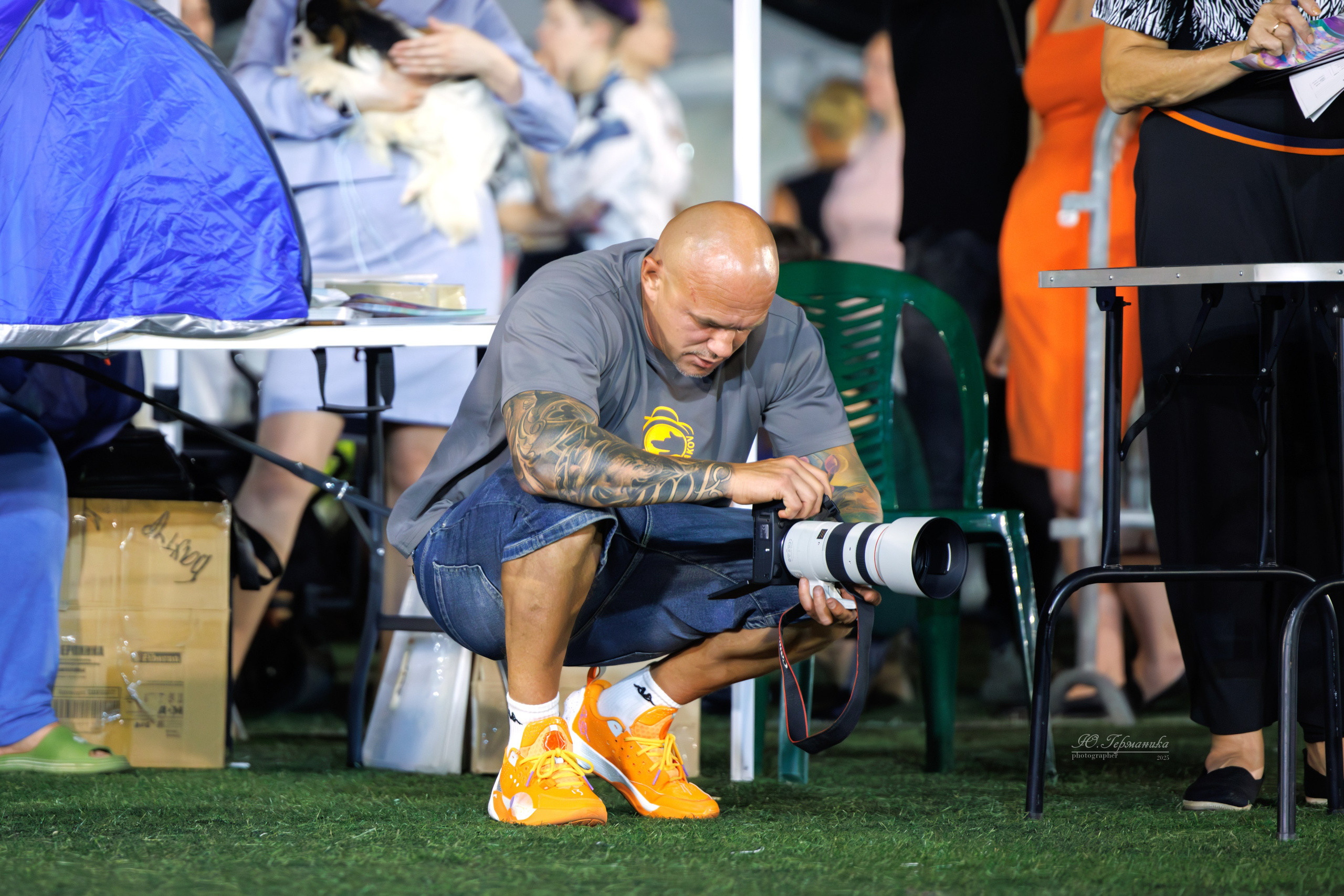 Калининград 25-27.07 Волгоград 1-3.08 2025. Фотограф-анималист Юлия Германика