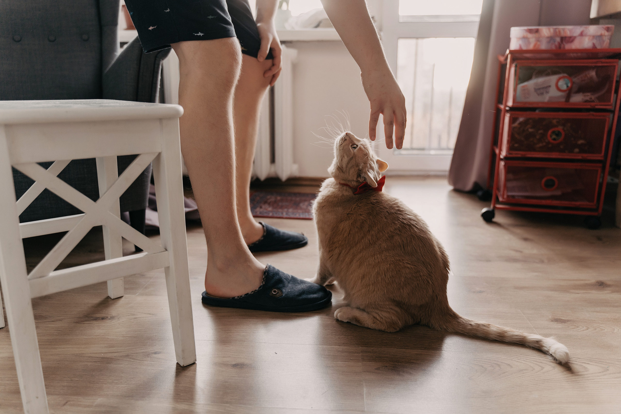 Максим и Ангелина. Свадебный фотограф
