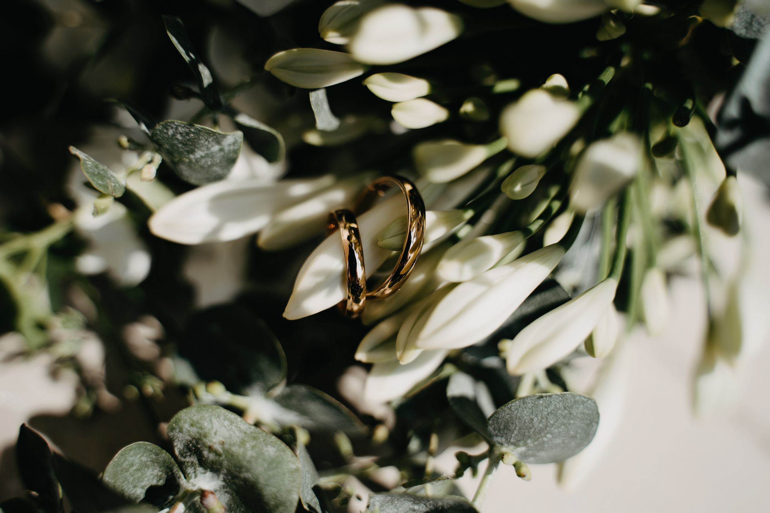 Владимир и Анастасия. Свадебный фотограф