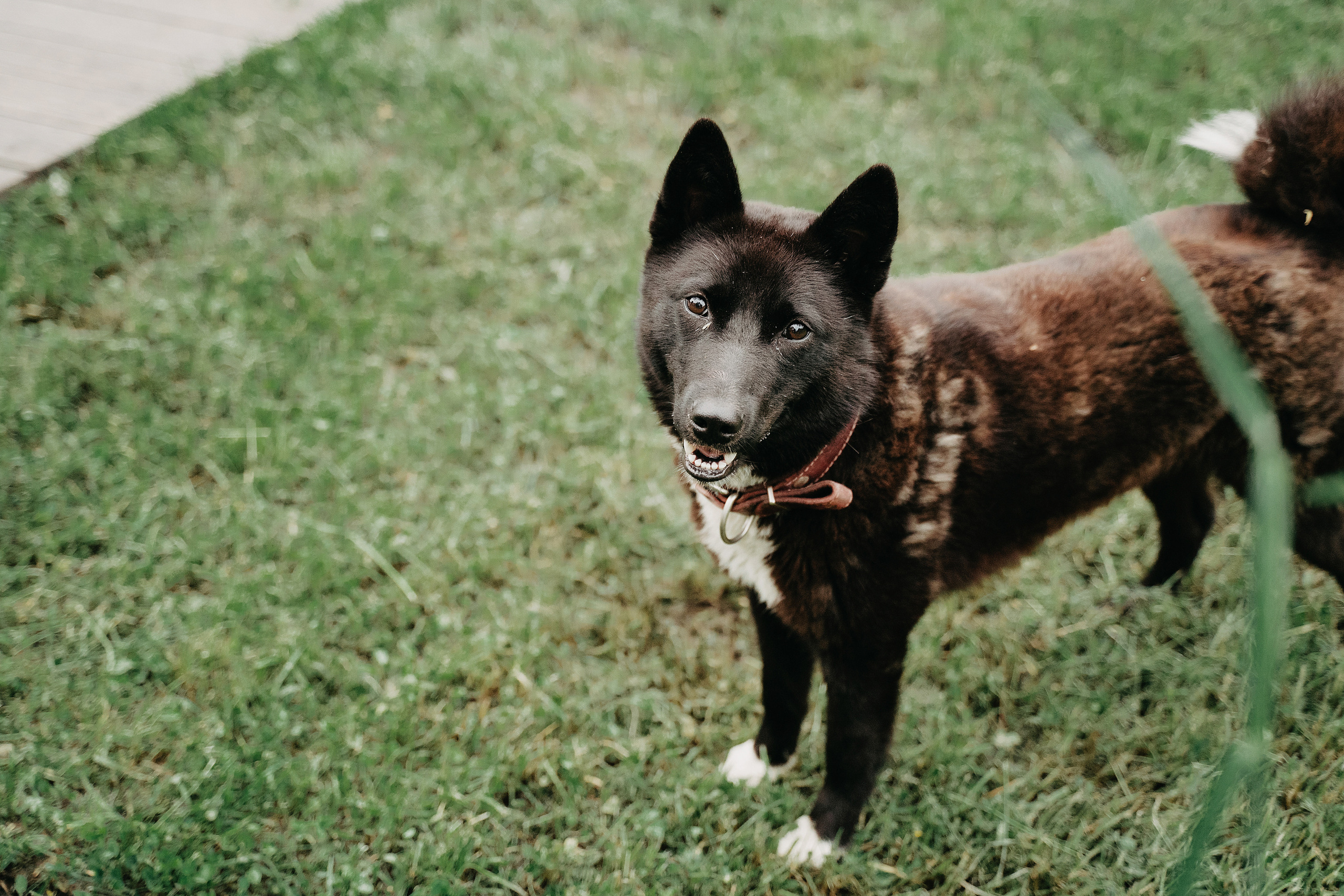 Владимир и Анастасия. Свадебный фотограф