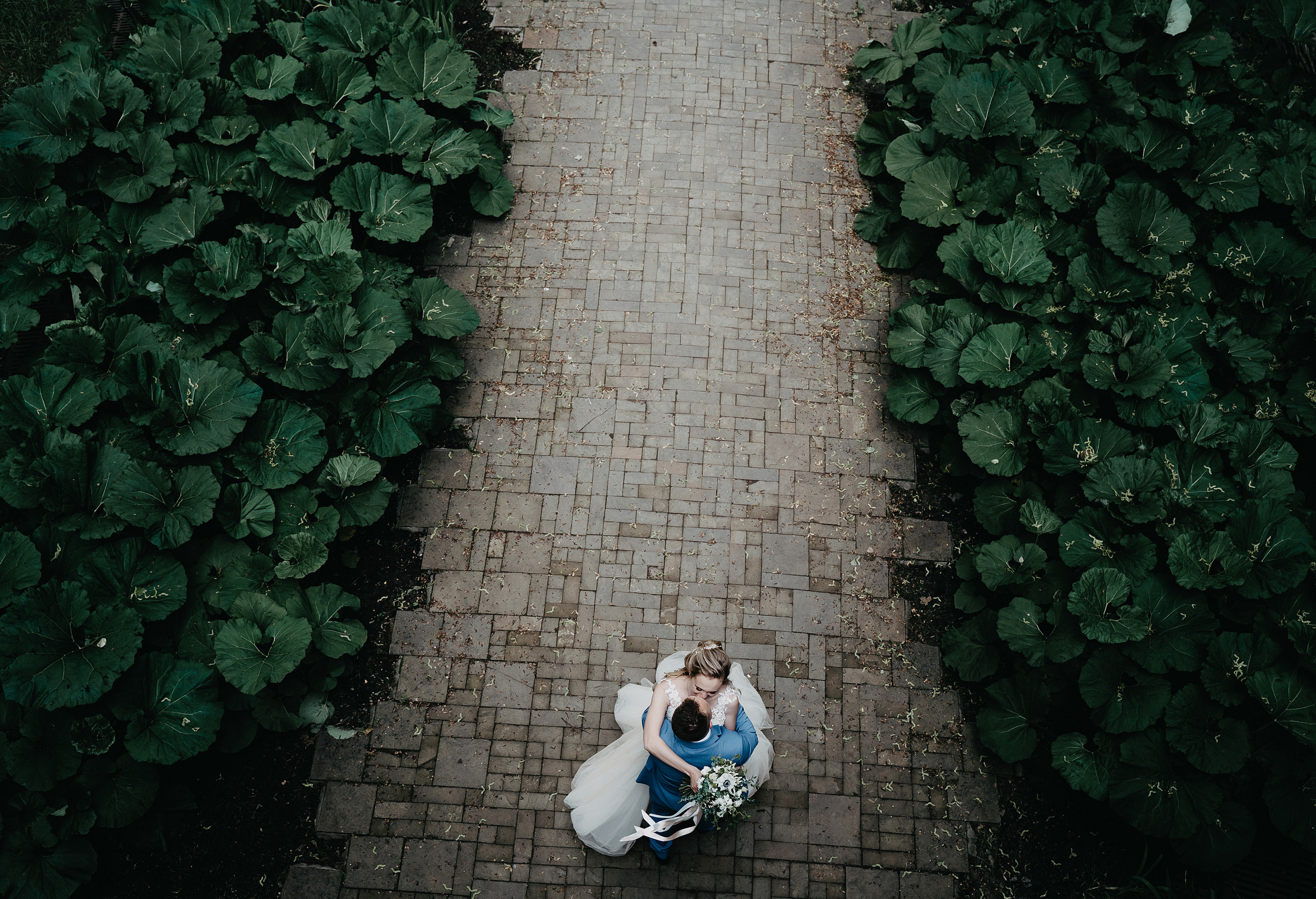 Владимир и Анастасия. Свадебный фотограф