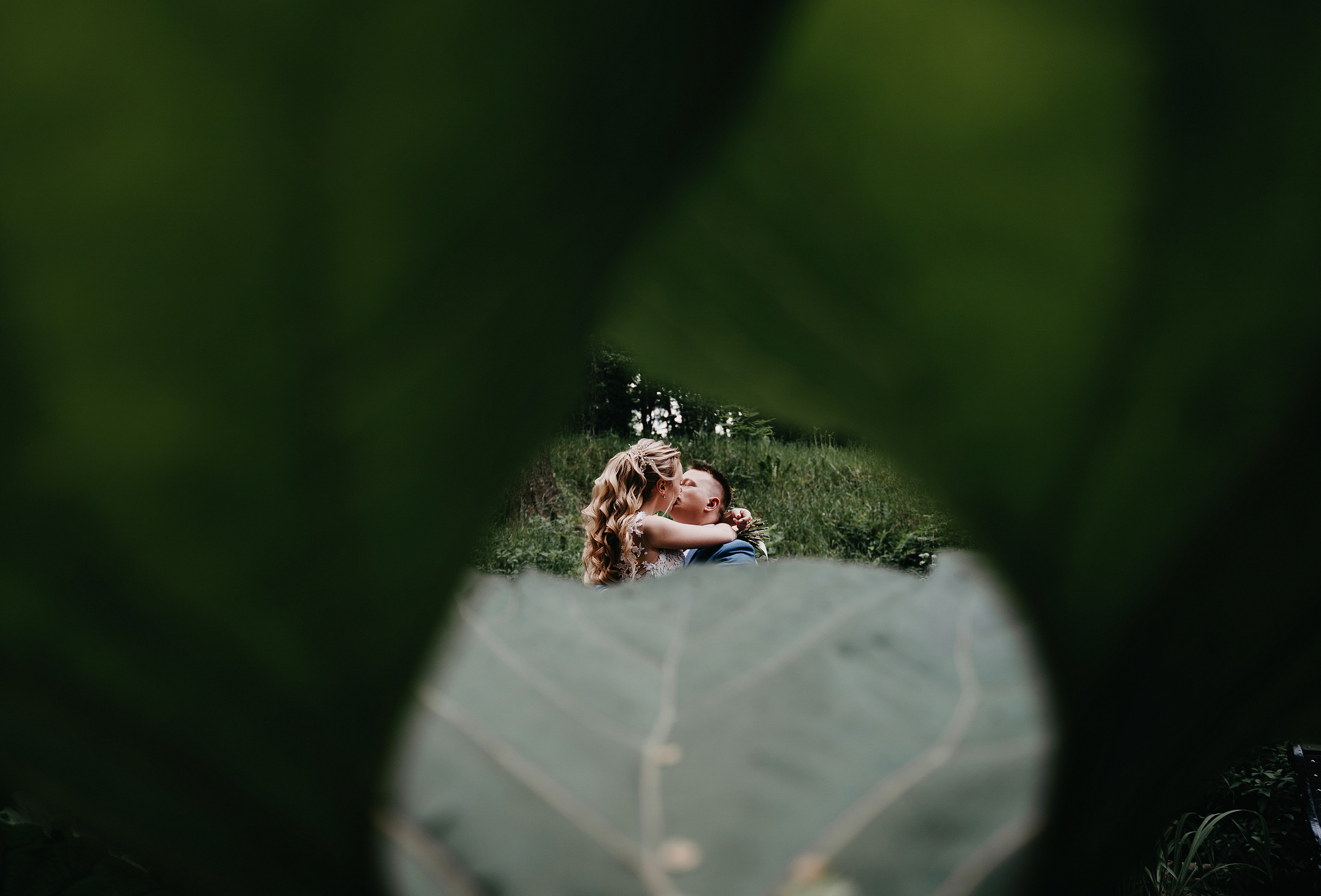 Владимир и Анастасия. Свадебный фотограф